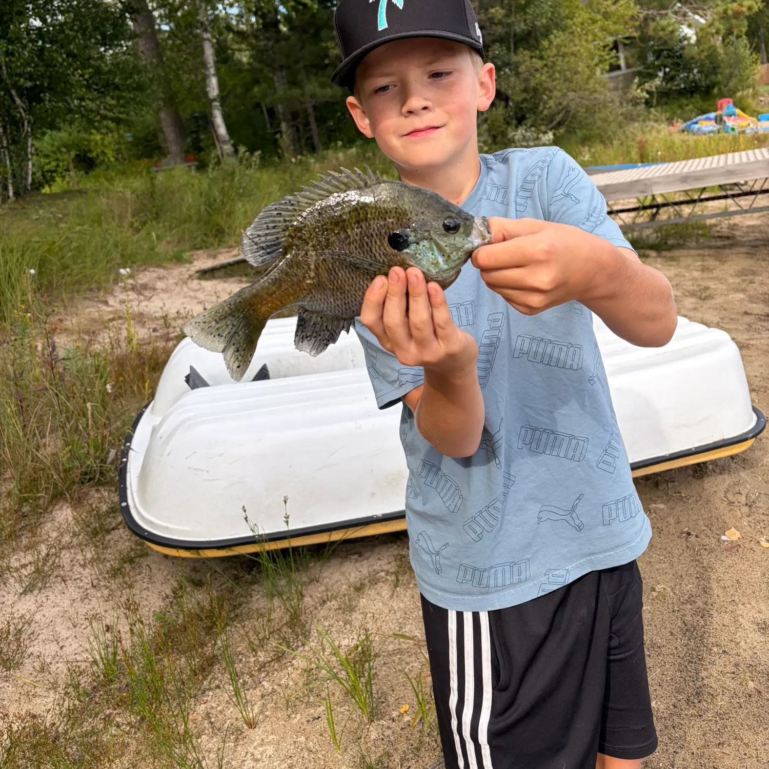 Bluegill caught on Fishbrain