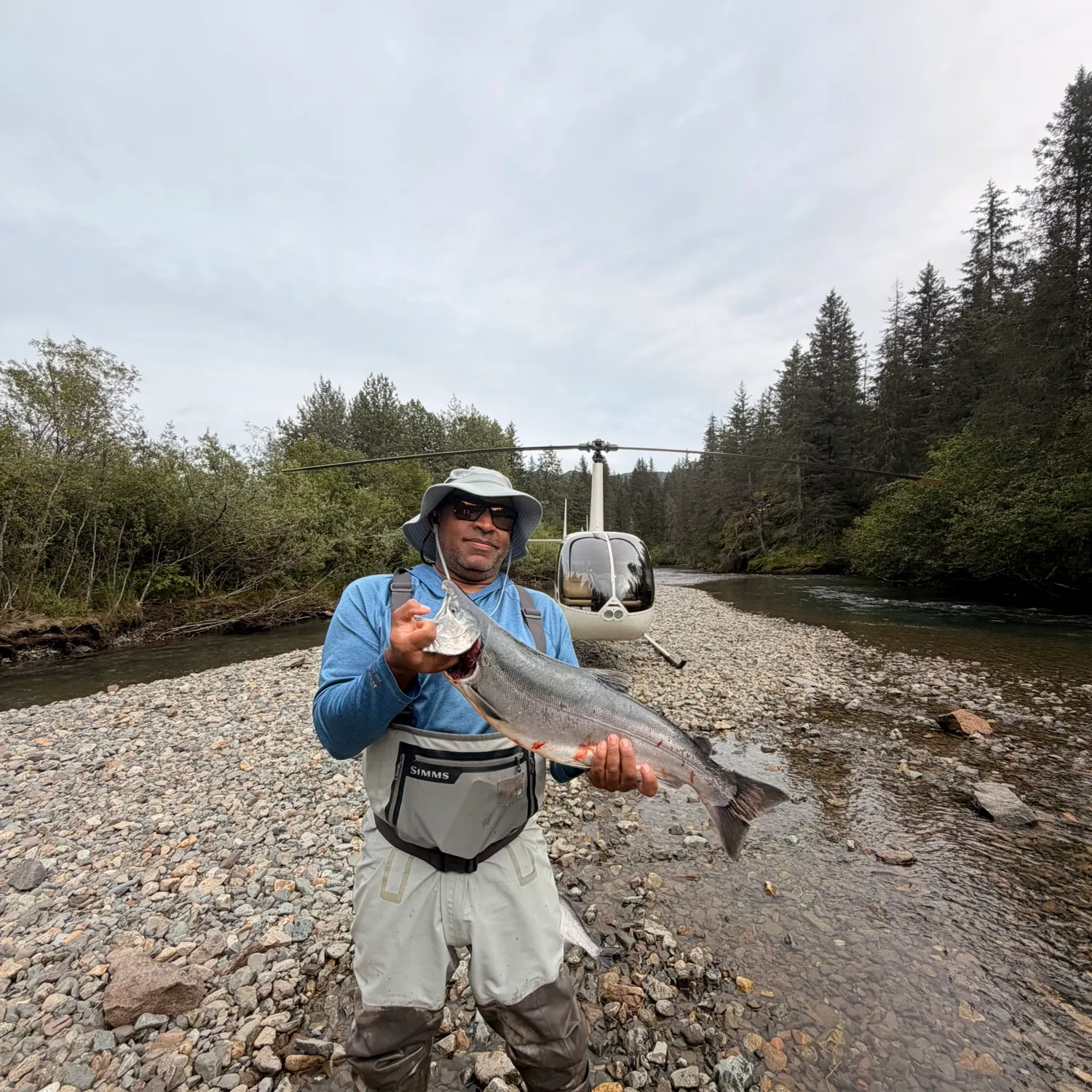 Coho salmon caught on Fishbrain