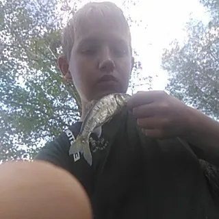 The most recent Common shiner catches on Fishbrain