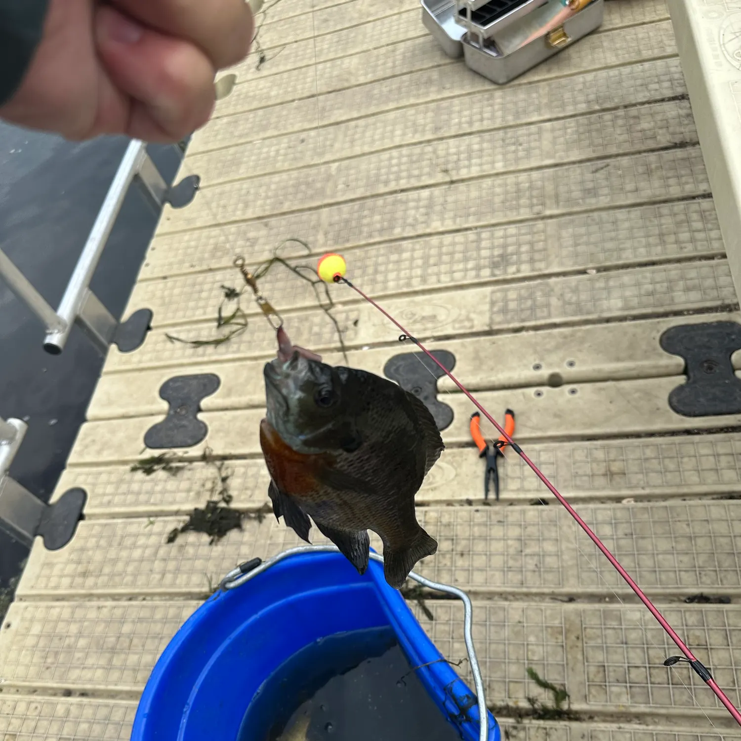 catch