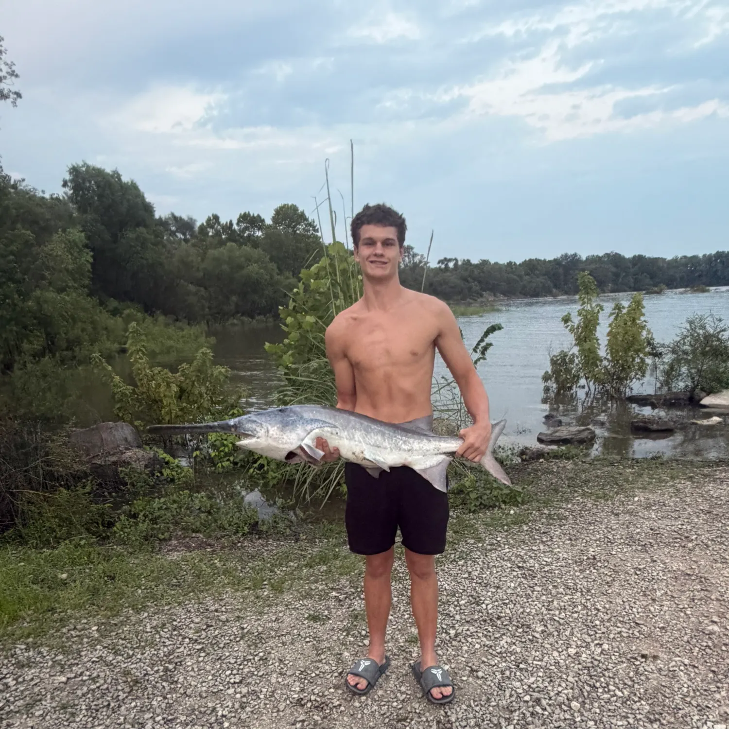 The most recent Paddlefish catches on Fishbrain
