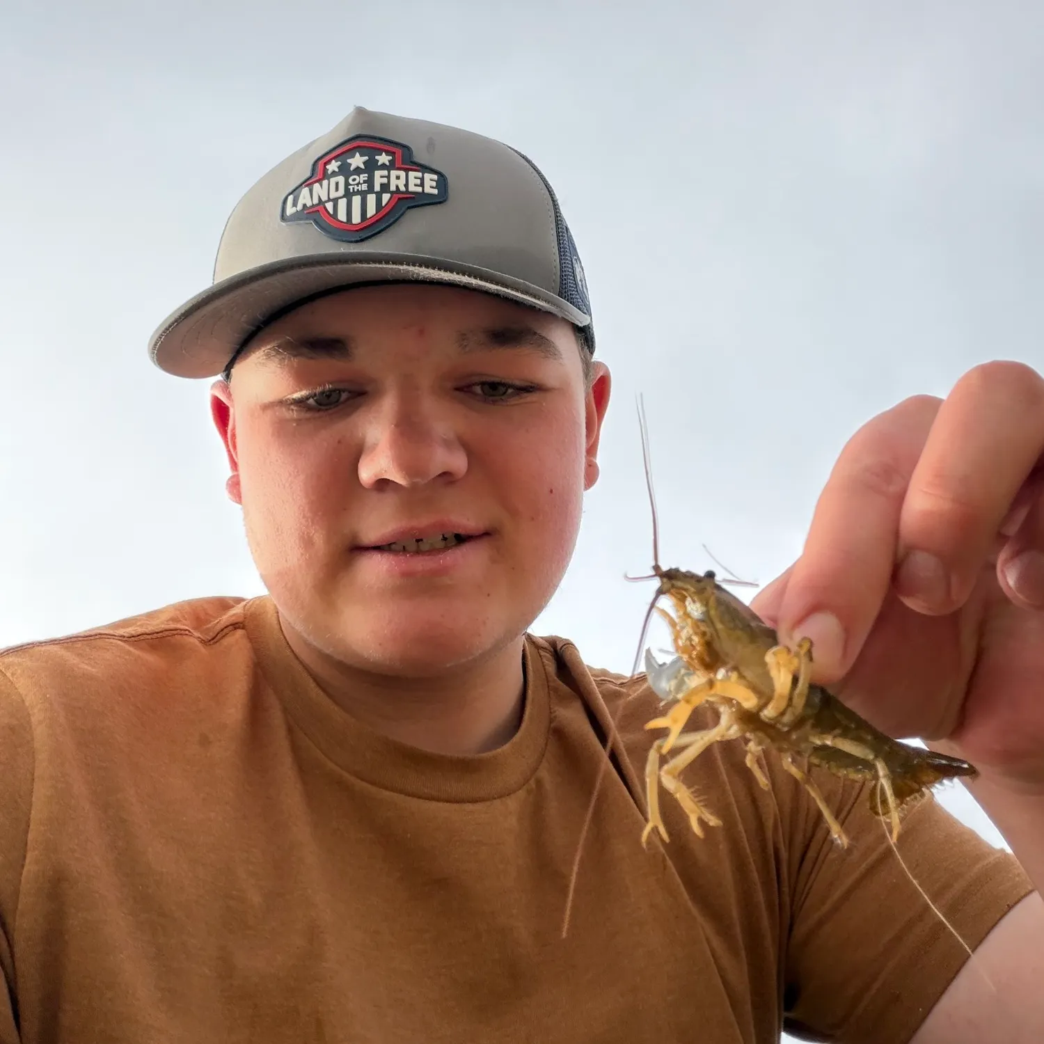 Signal crayfish caught on Fishbrain