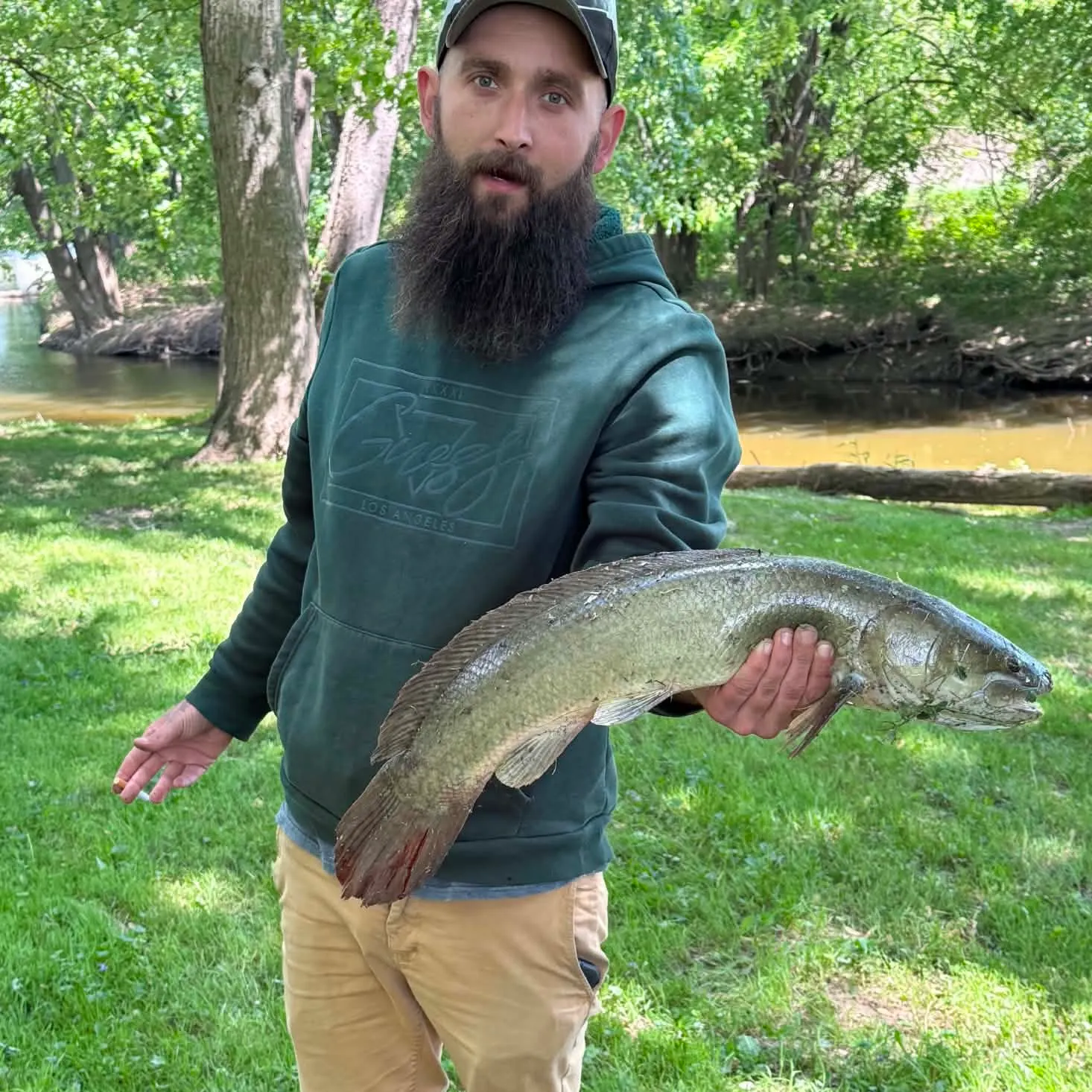 recently logged catches