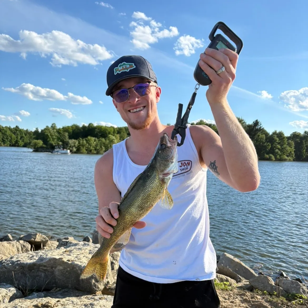The most recent Saugeye catches on Fishbrain