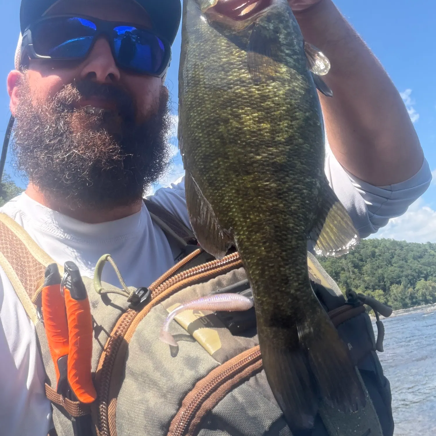 Smallmouth bass caught on Fishbrain