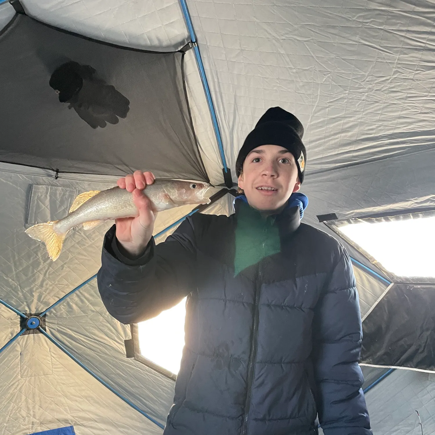 The most recent Sauger catches on Fishbrain