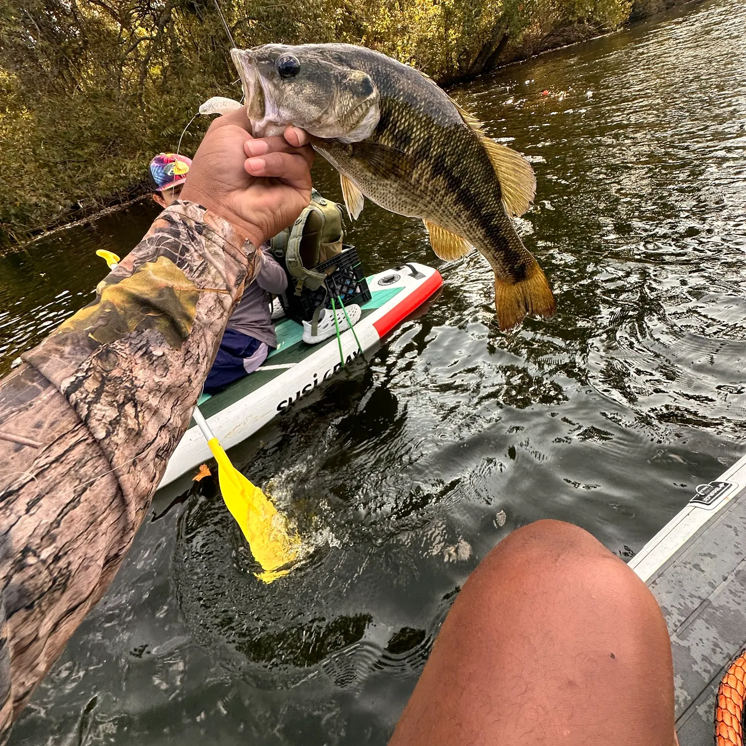 Guadalupe bass caught on Fishbrain