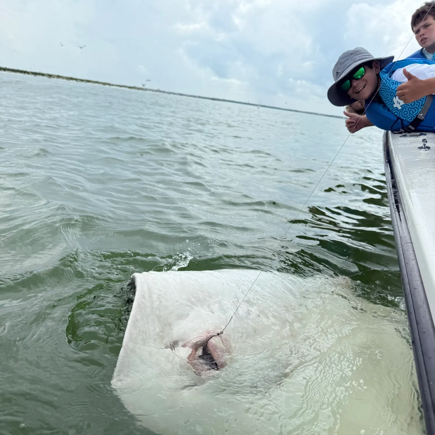 The most recent Southern stingray catches on Fishbrain