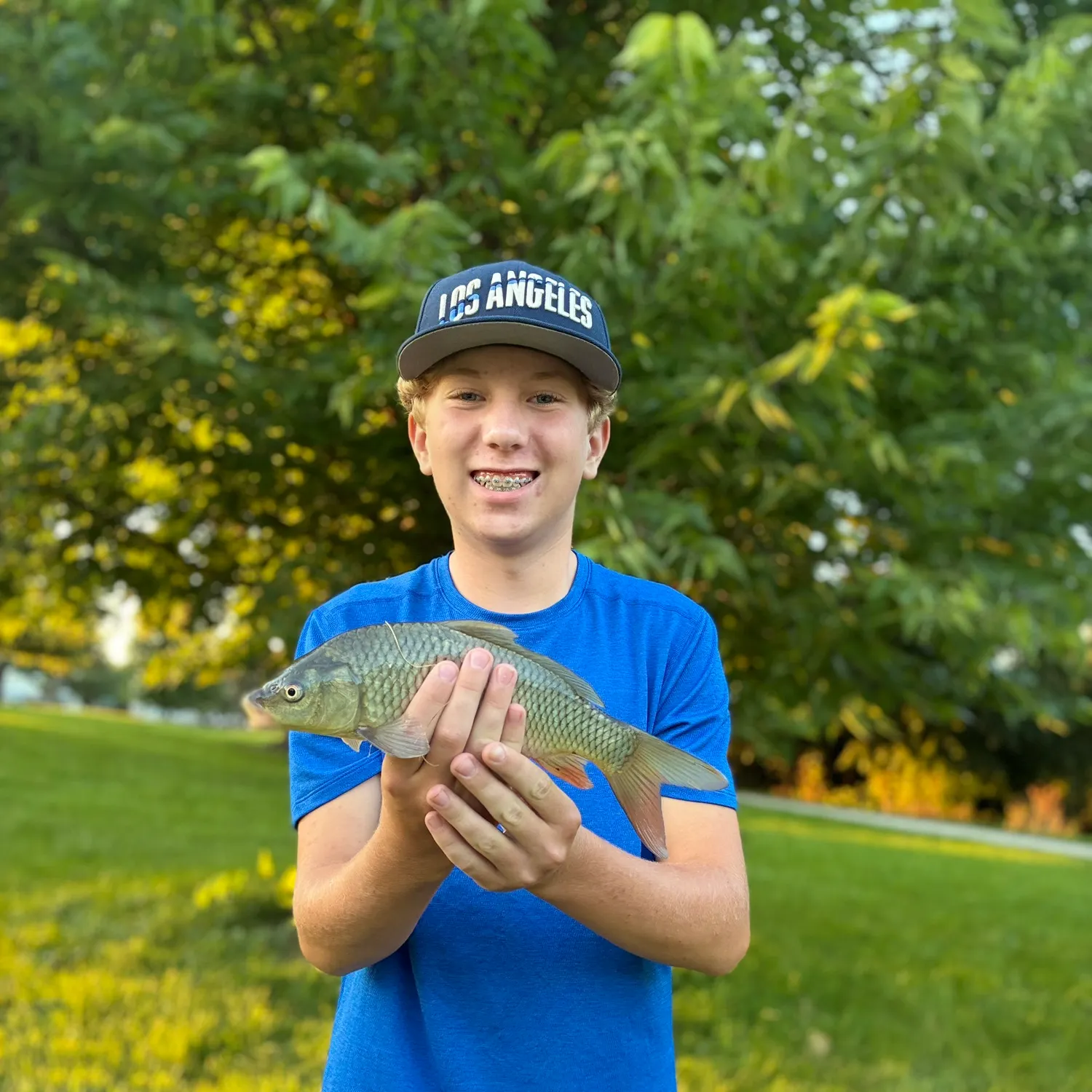 Common carp caught on Fishbrain
