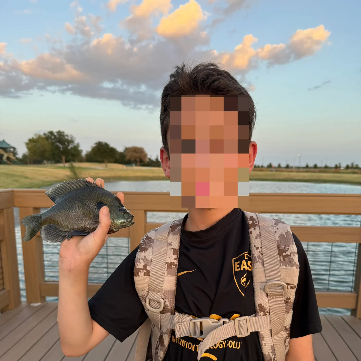 Bluegill caught on Fishbrain