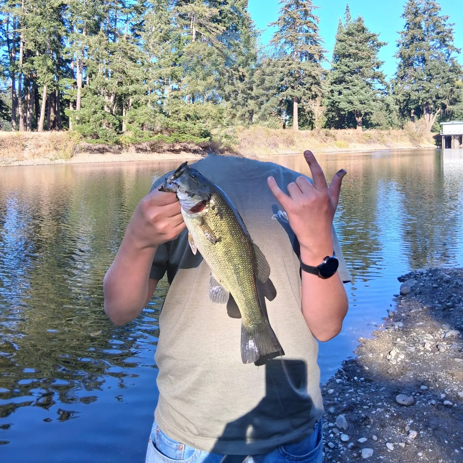 Largemouth bass caught on Fishbrain