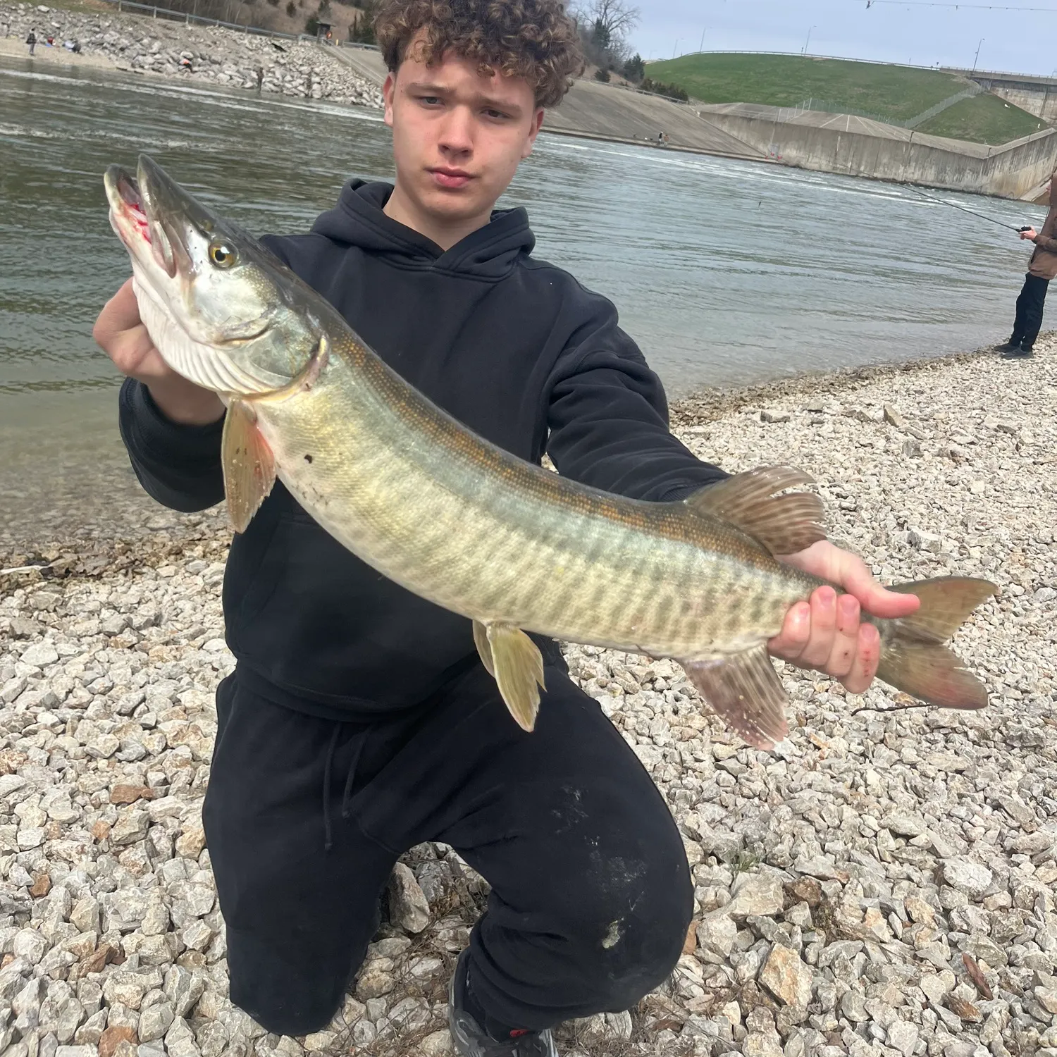 The most recent Muskellunge catches on Fishbrain
