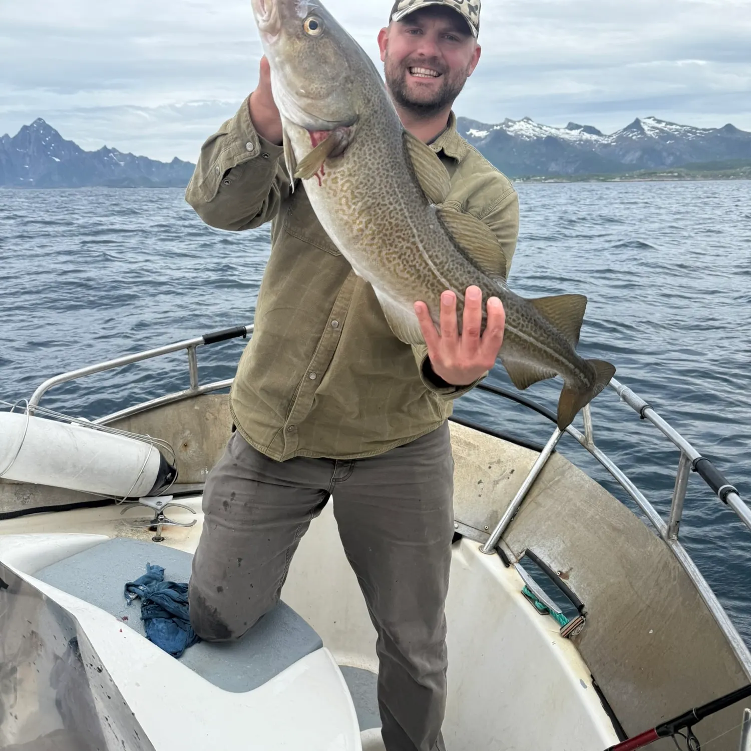 Atlantic cod caught on Fishbrain