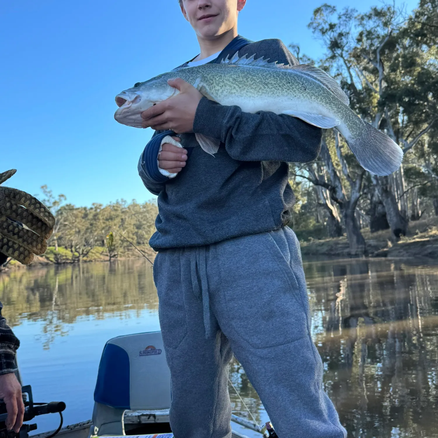 Murray cod caught on Fishbrain