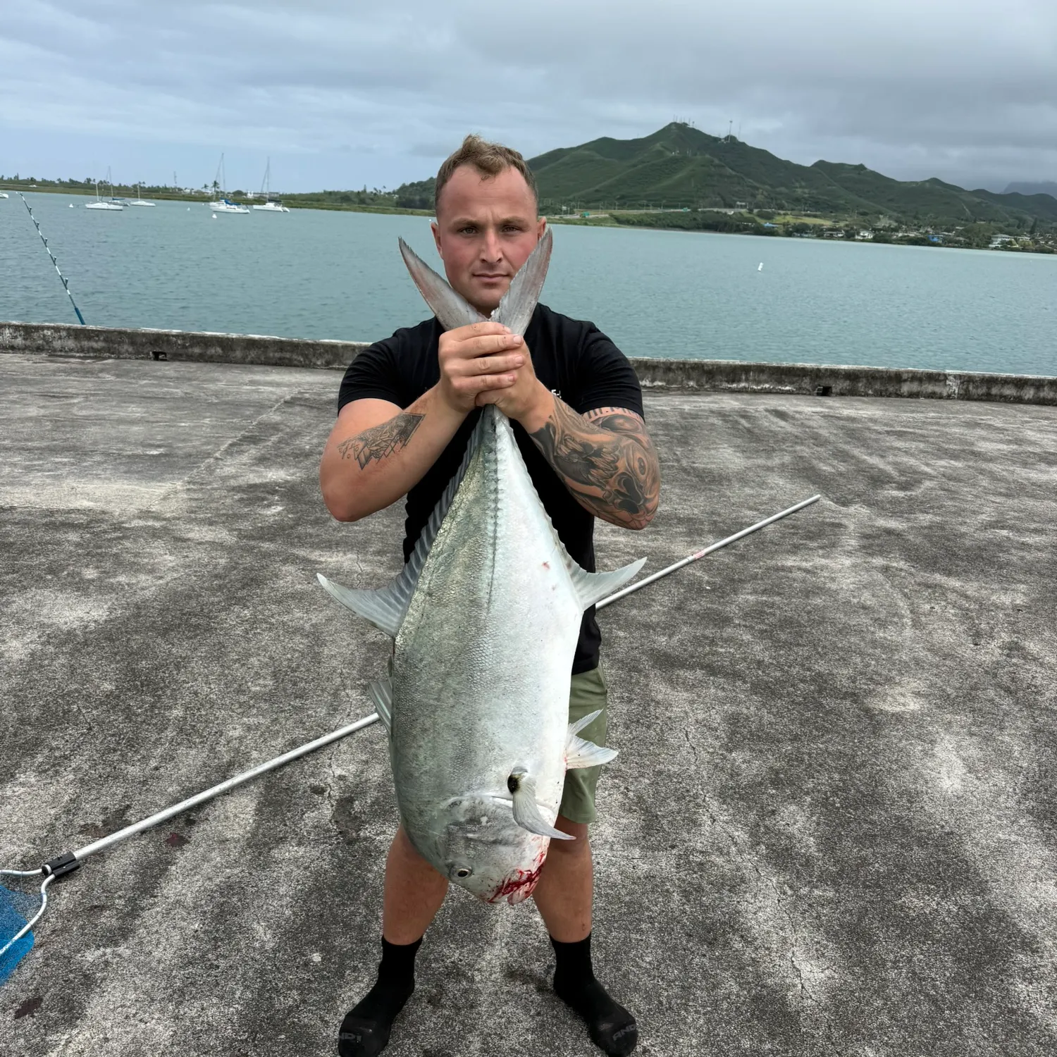 The most recent Giant trevally catches on Fishbrain