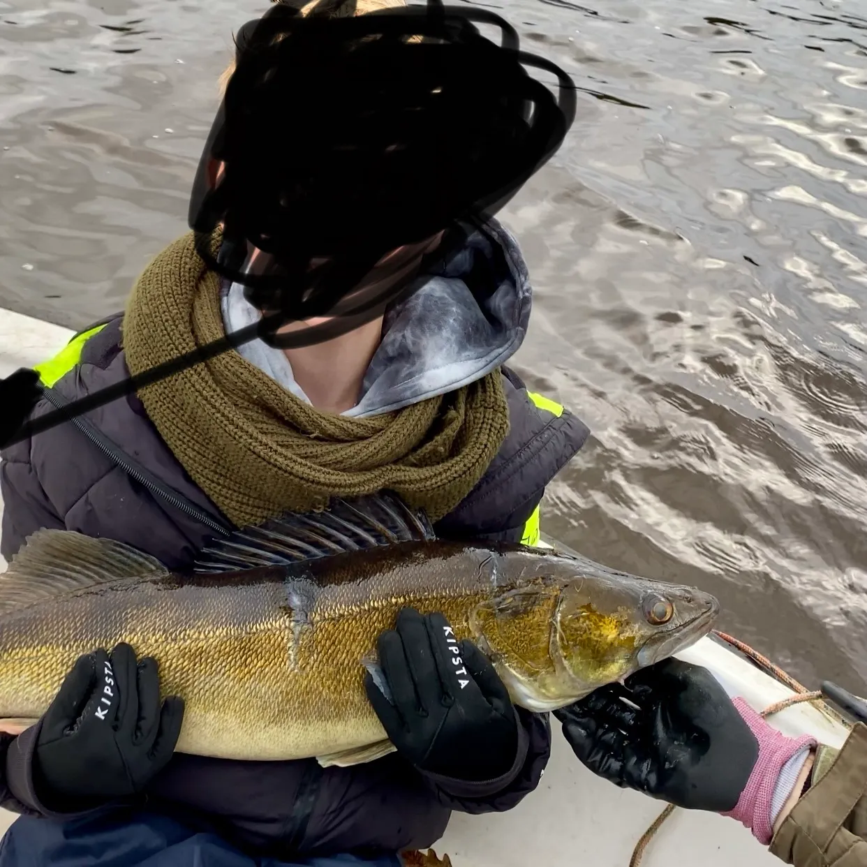 Zander caught on Fishbrain