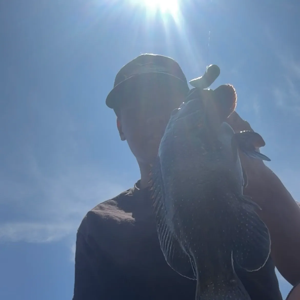 The most recent Peacock hind catches on Fishbrain
