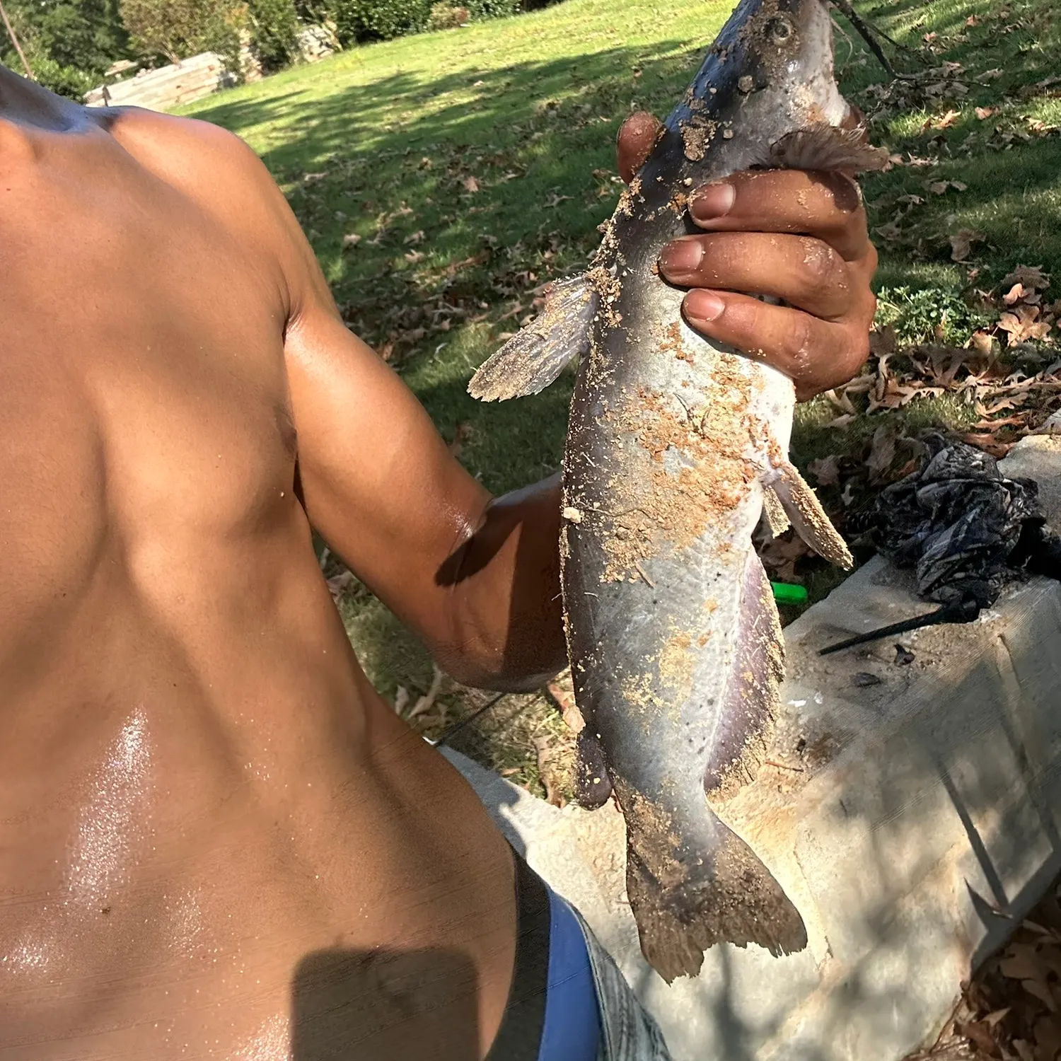 catch