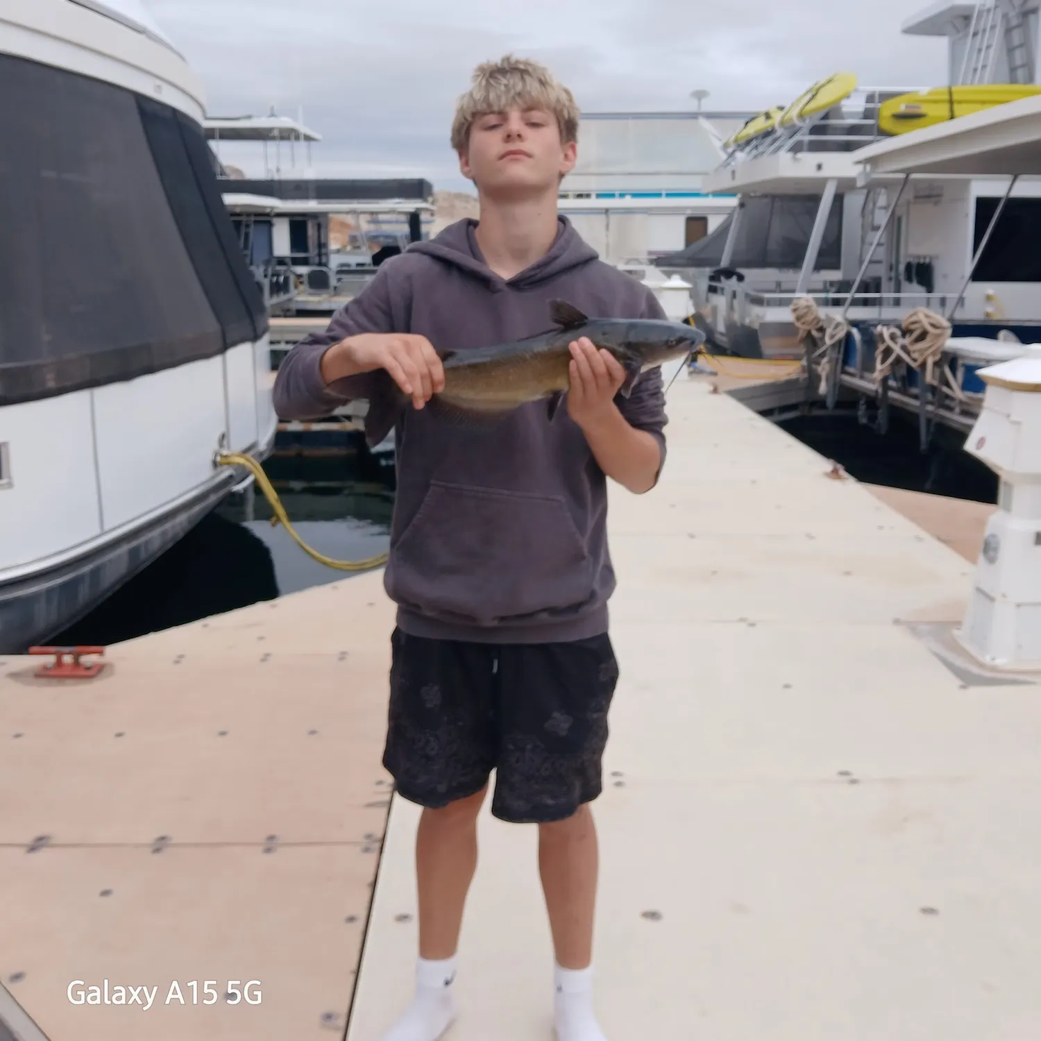 Channel catfish caught on Fishbrain