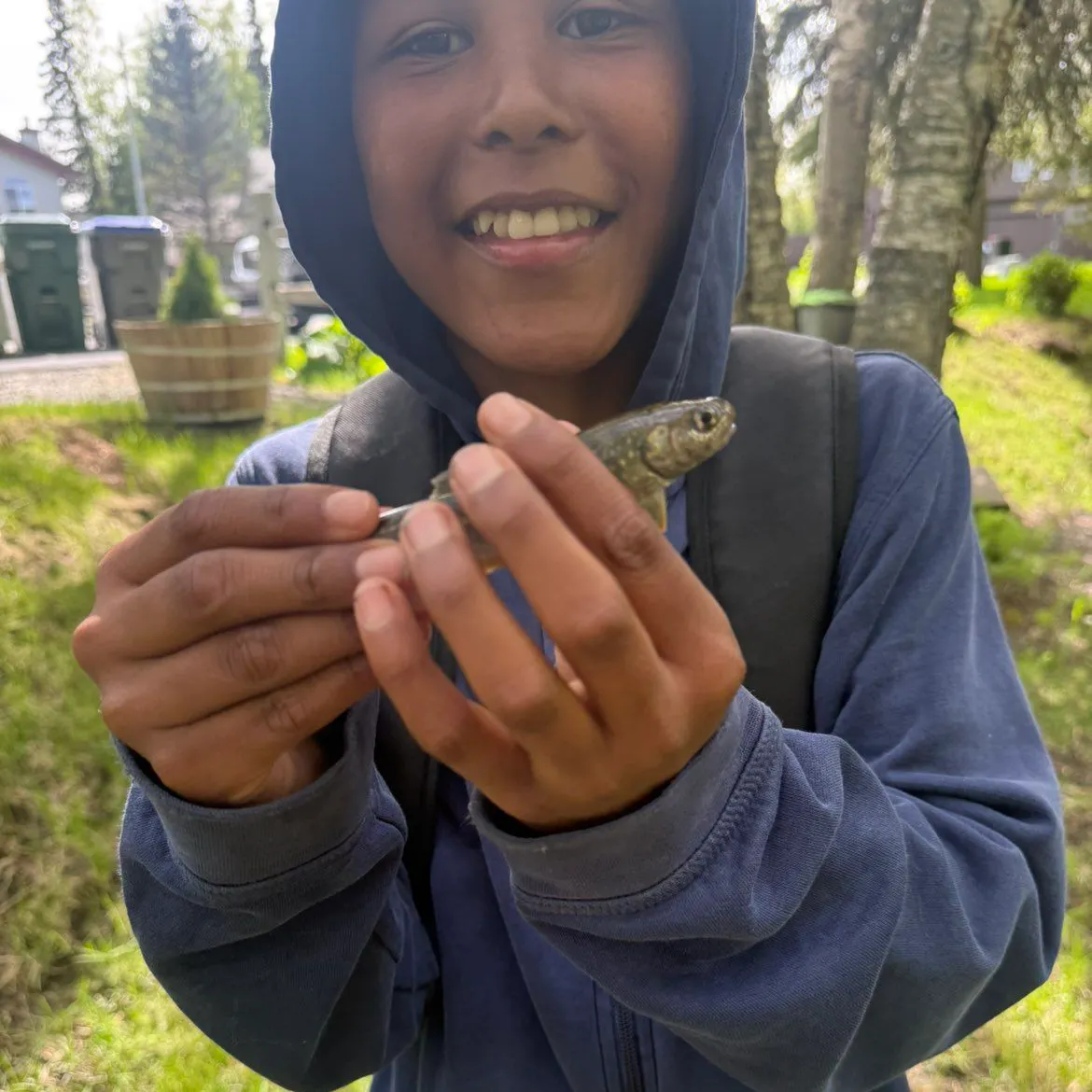 Dolly varden caught on Fishbrain