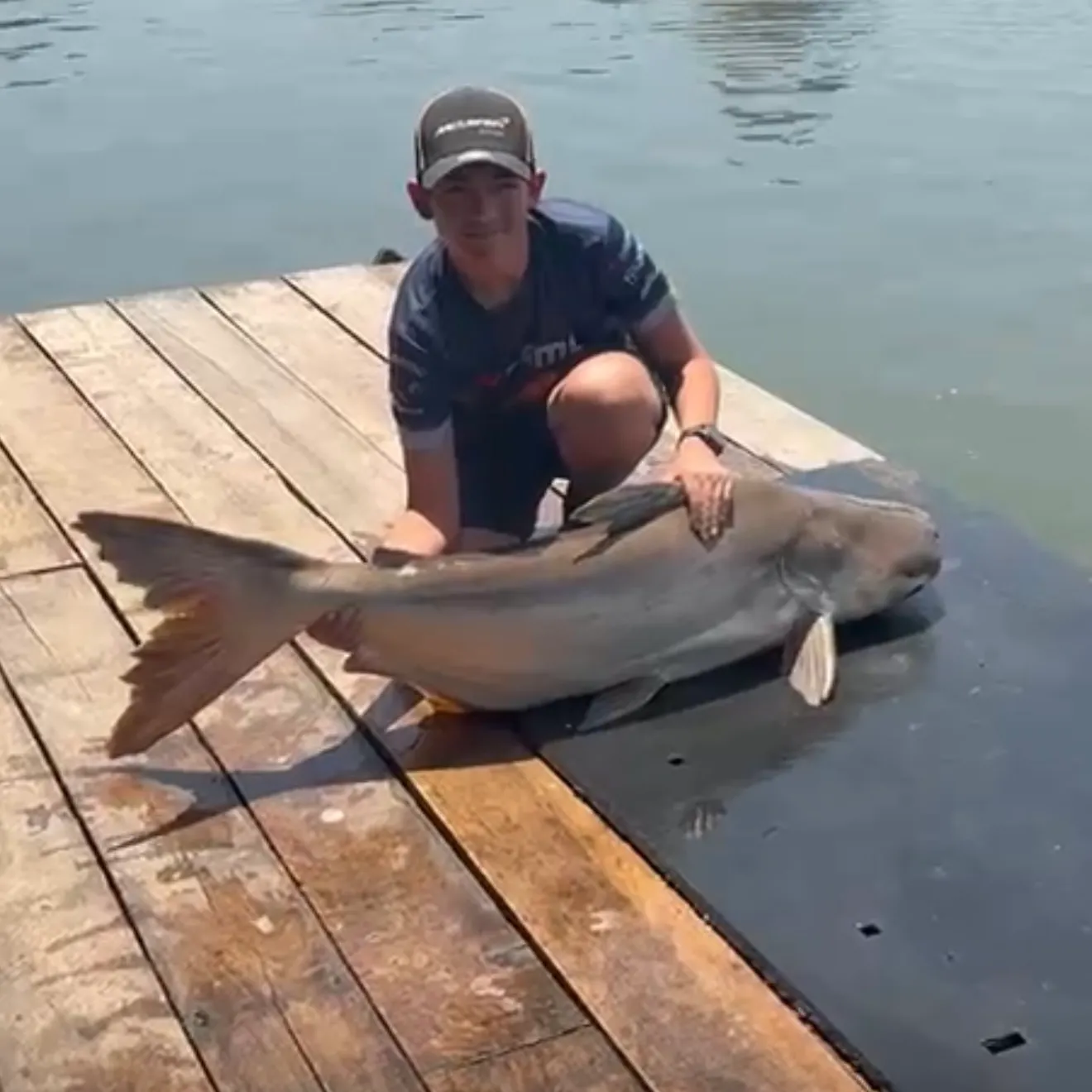 The most recent Mekong giant catfish catches on Fishbrain