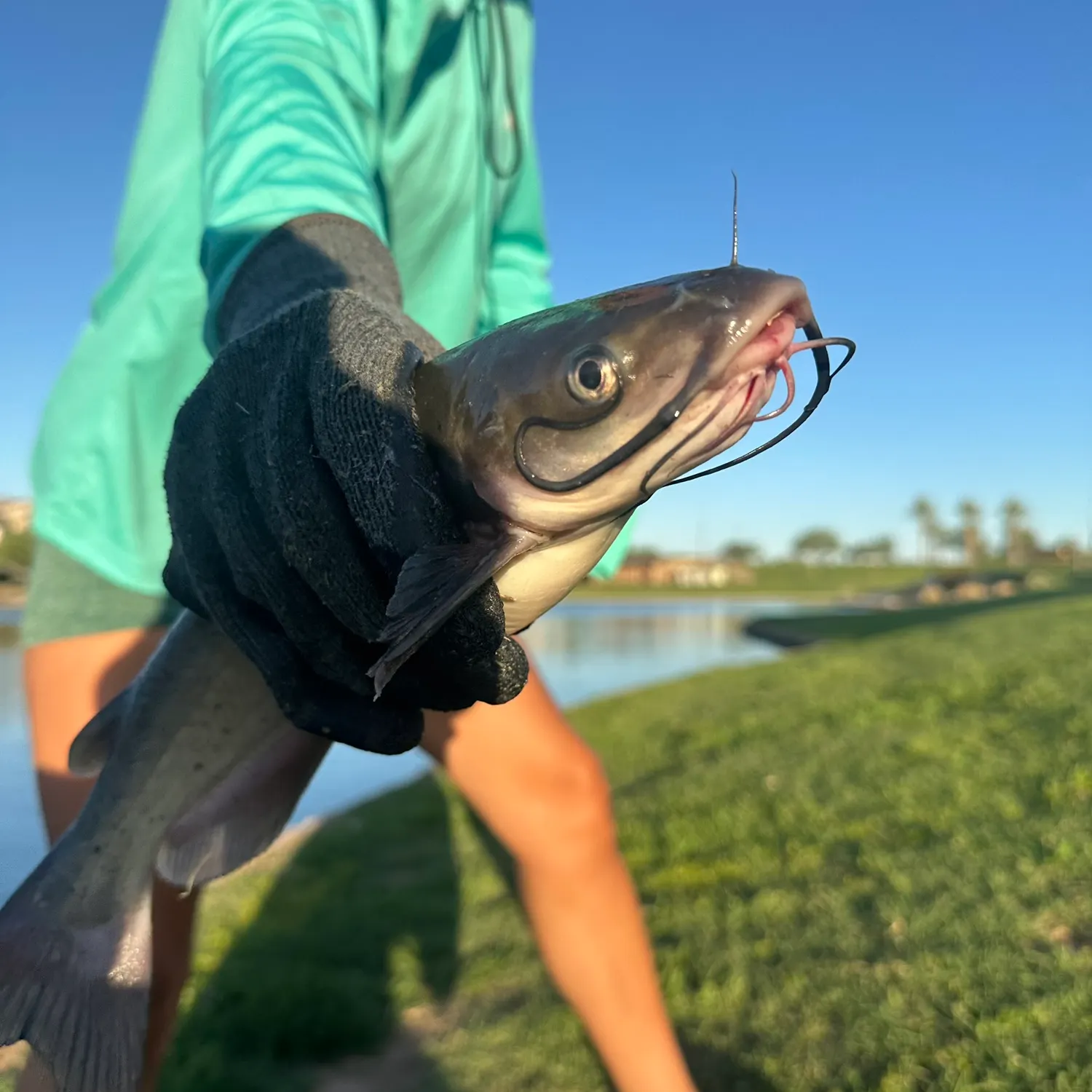 catch