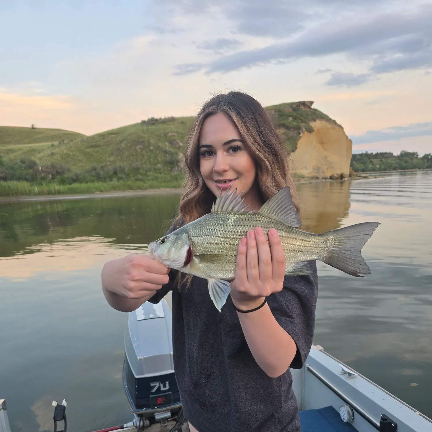 The most recent White bass catches on Fishbrain