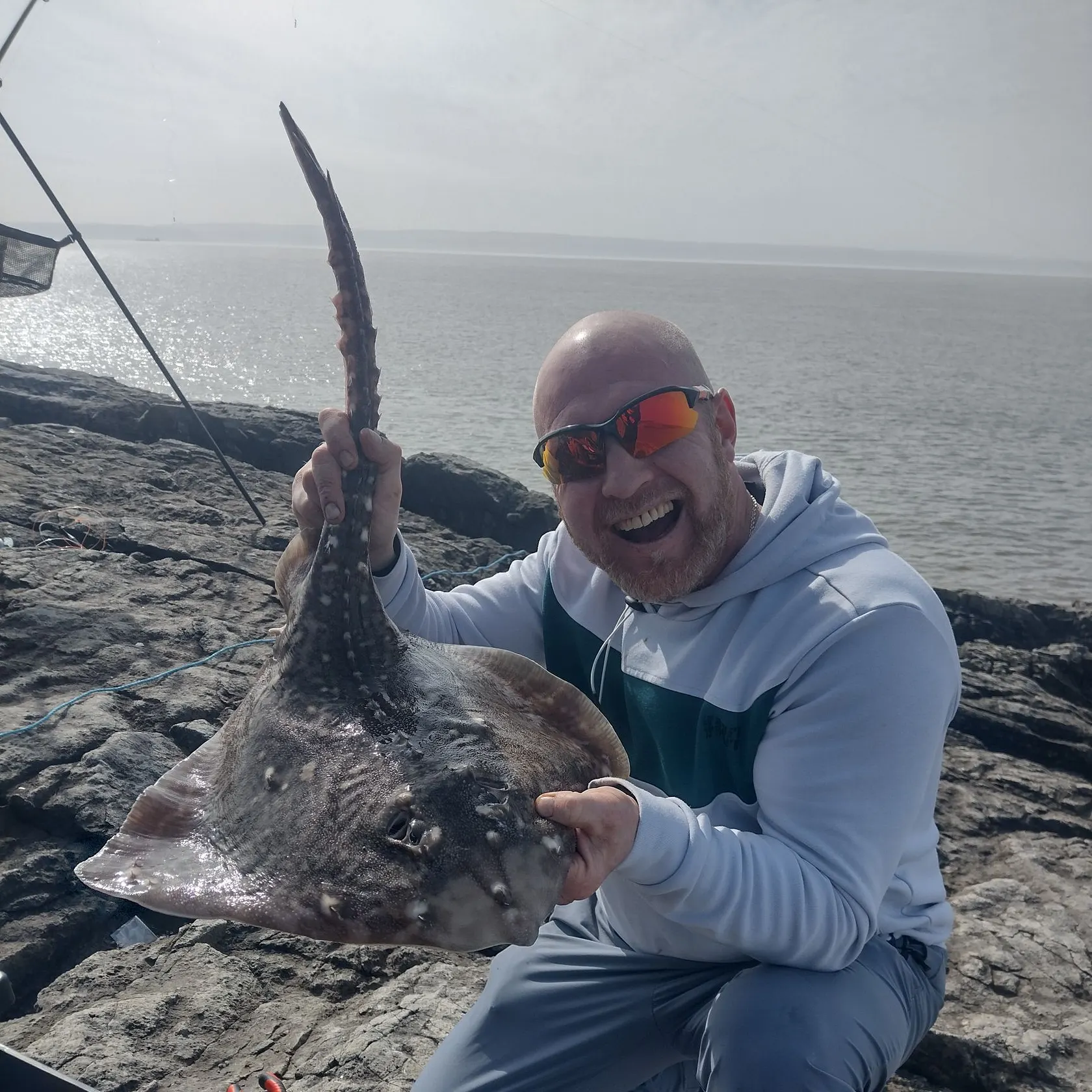 The most recent Thornback ray catches on Fishbrain