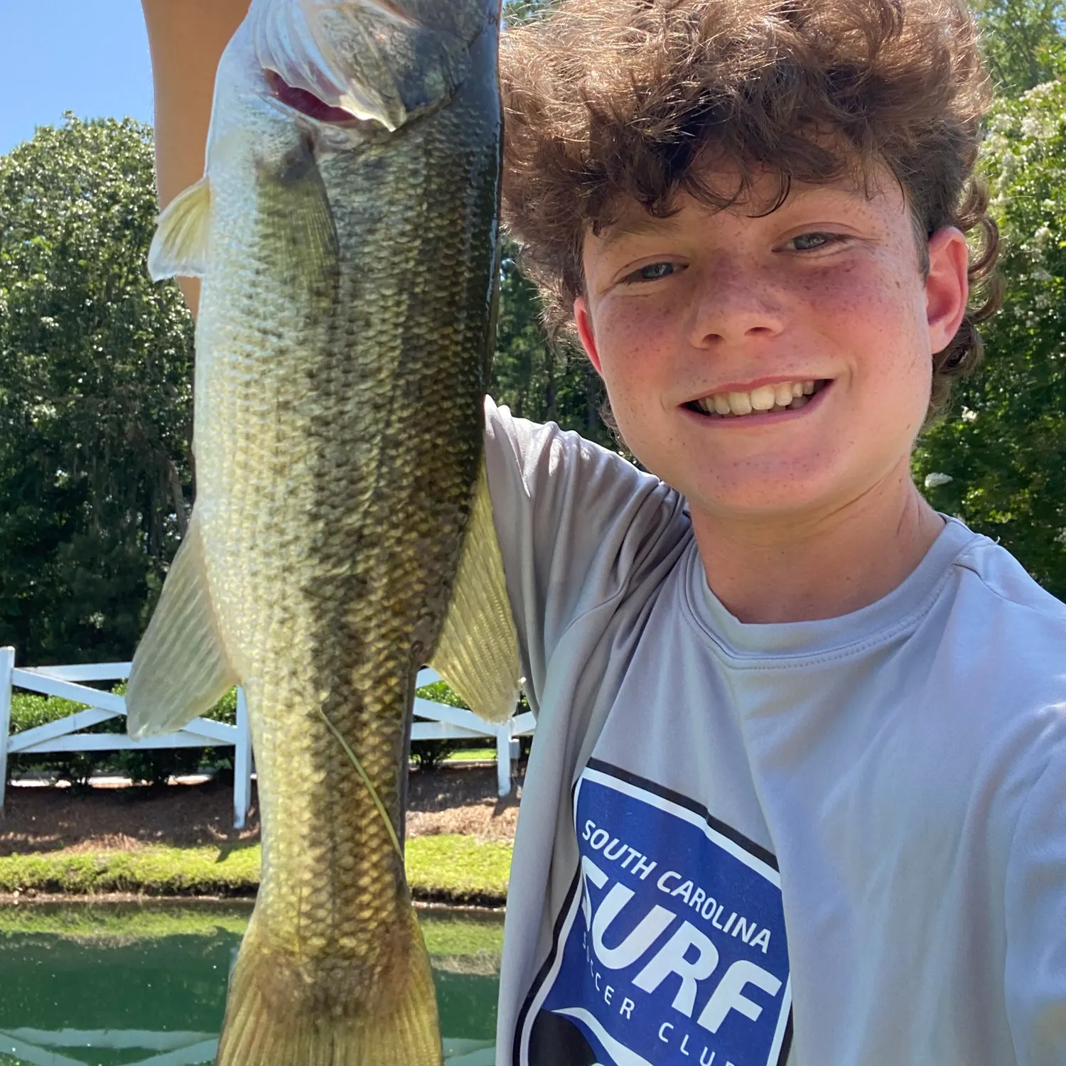 Largemouth bass caught on Fishbrain