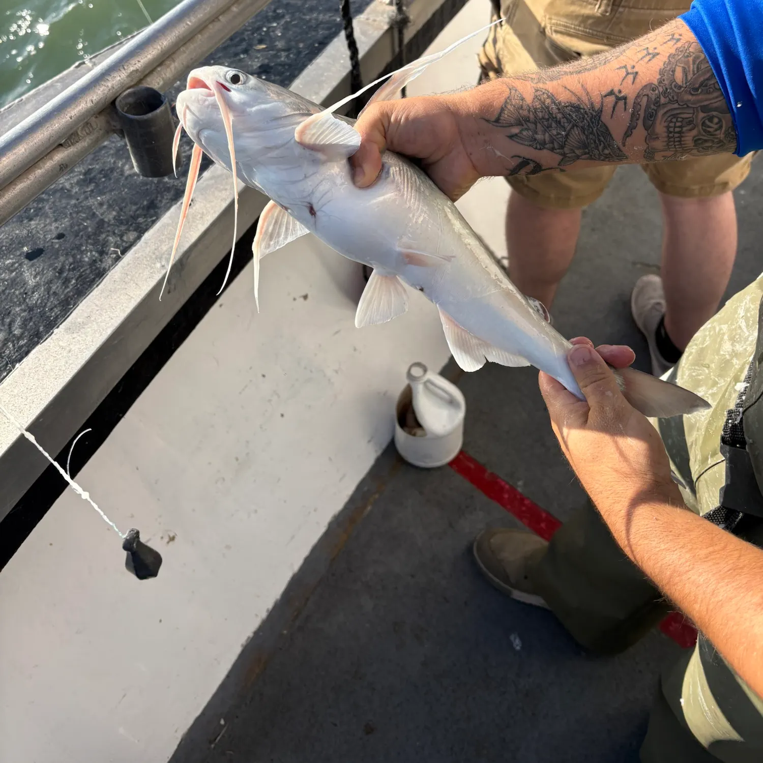 catch