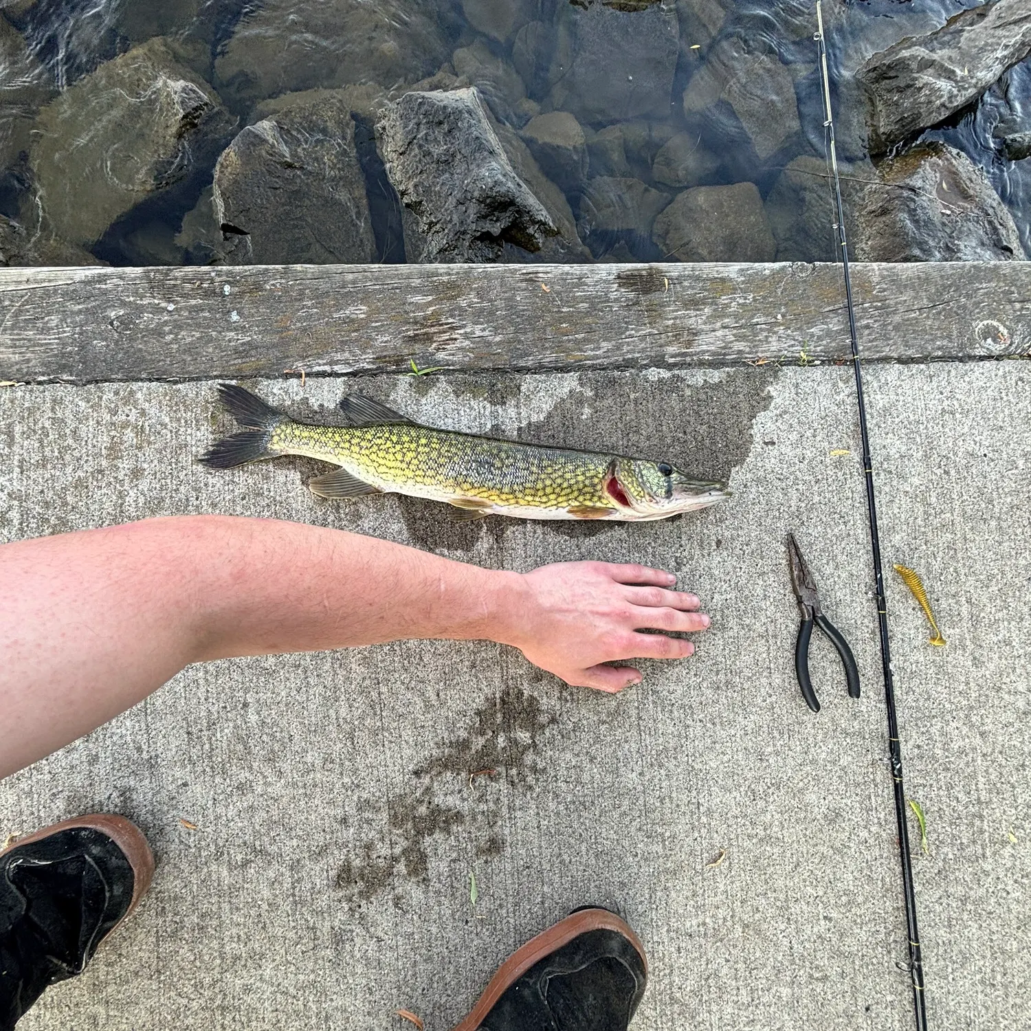 catch