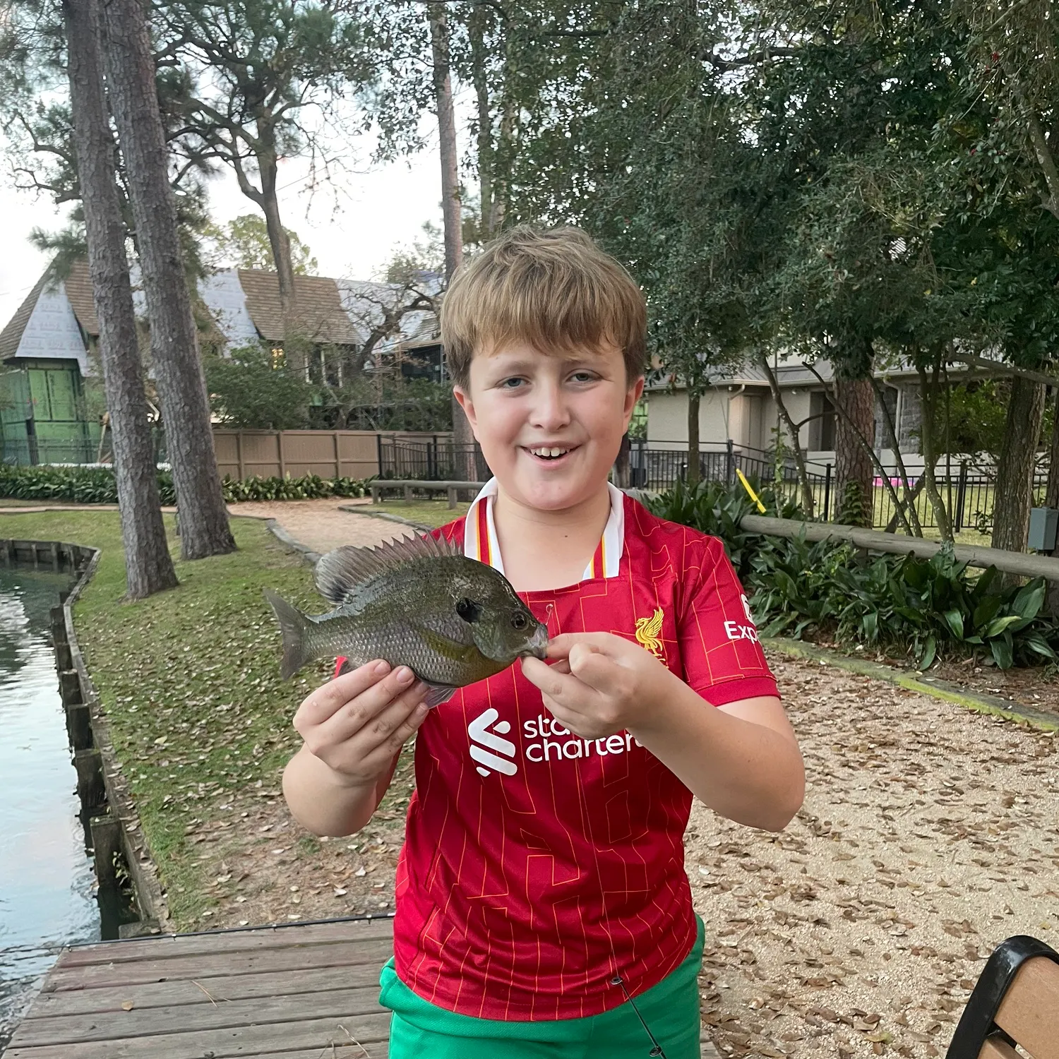 The most recent Bluegill catches on Fishbrain