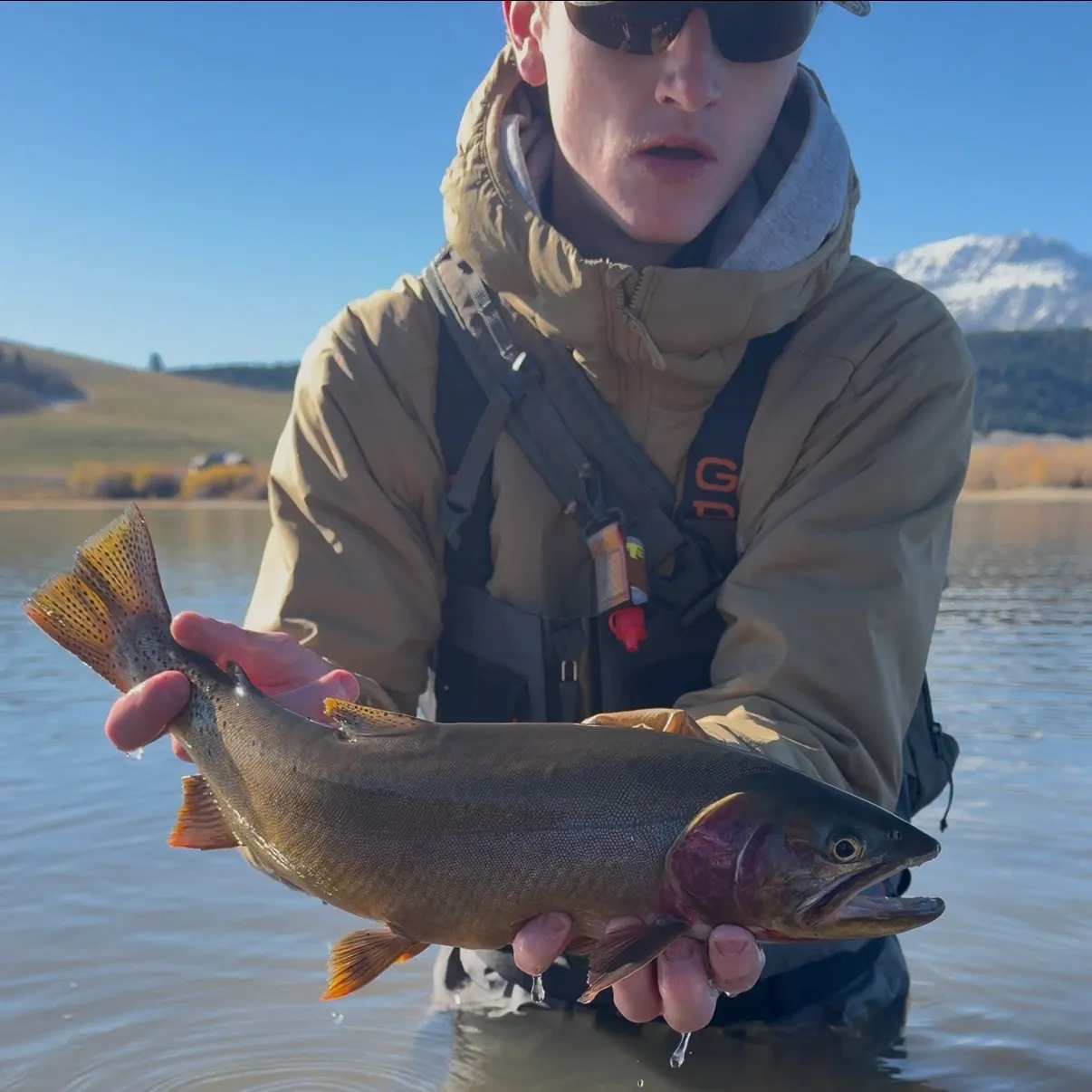 Cutthroat trout caught on Fishbrain