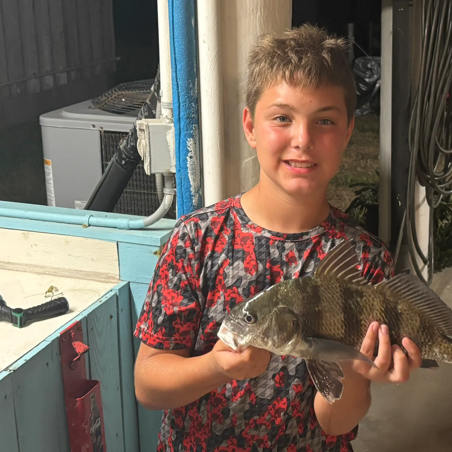 Black drum caught on Fishbrain
