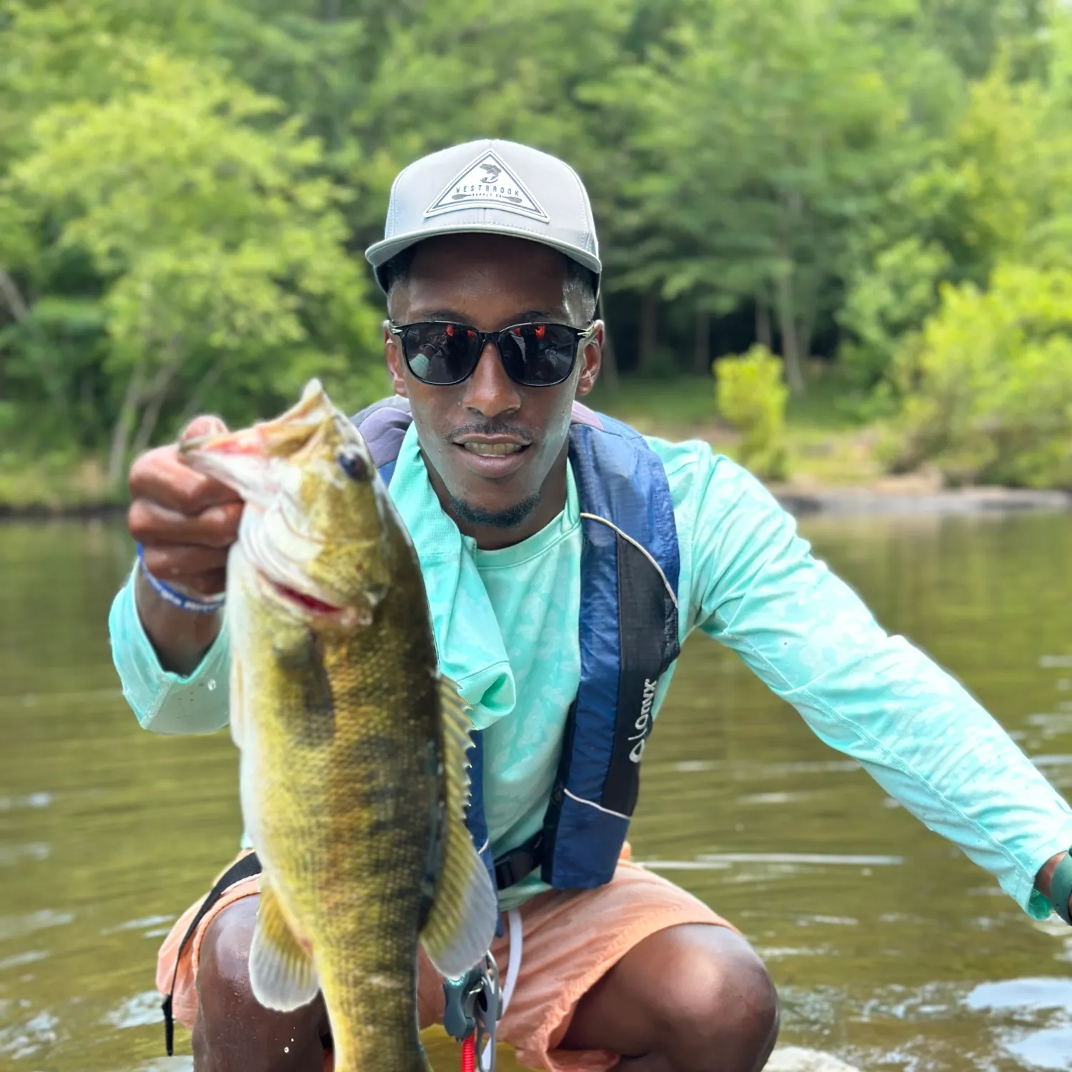 The most recent Shoal bass catches on Fishbrain