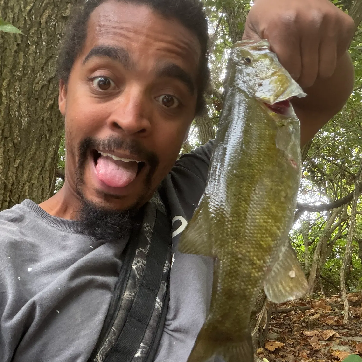 Smallmouth bass caught on Fishbrain