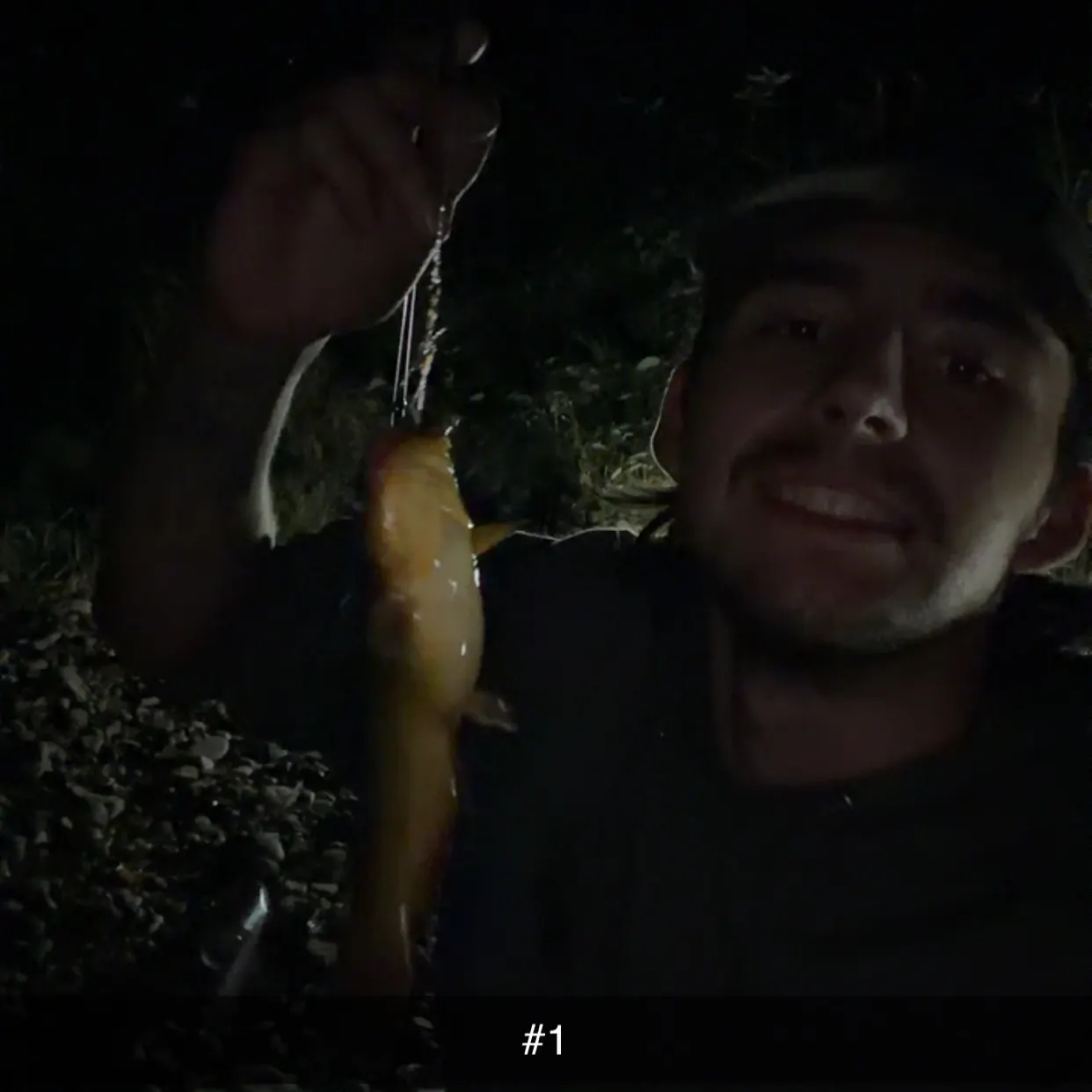 Channel catfish caught on Fishbrain