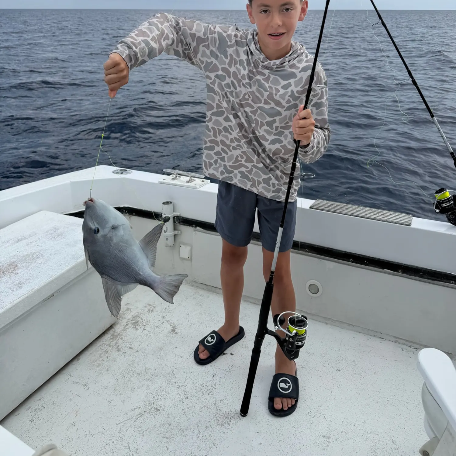 The most recent Ocean triggerfish catches on Fishbrain