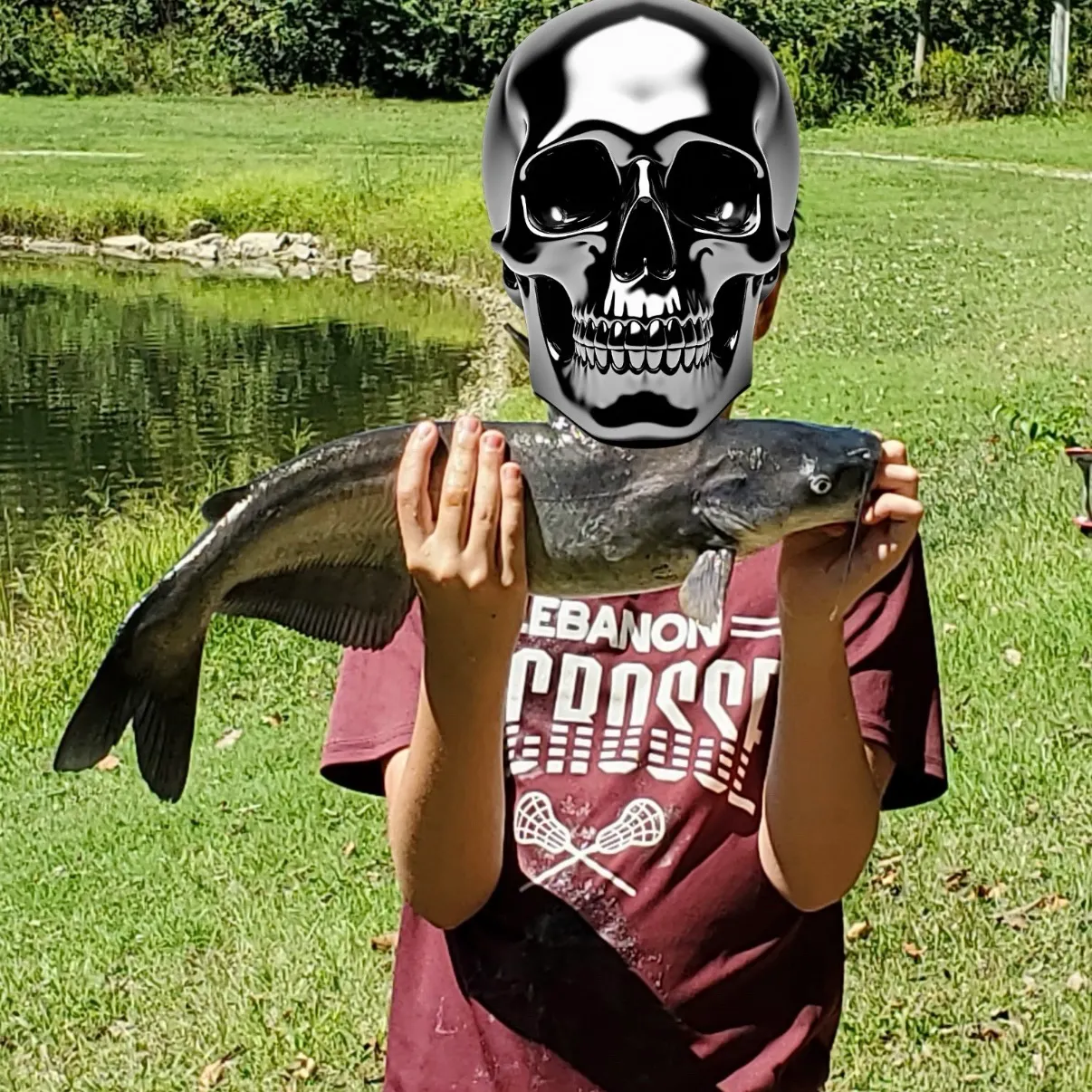 Channel catfish caught on Fishbrain