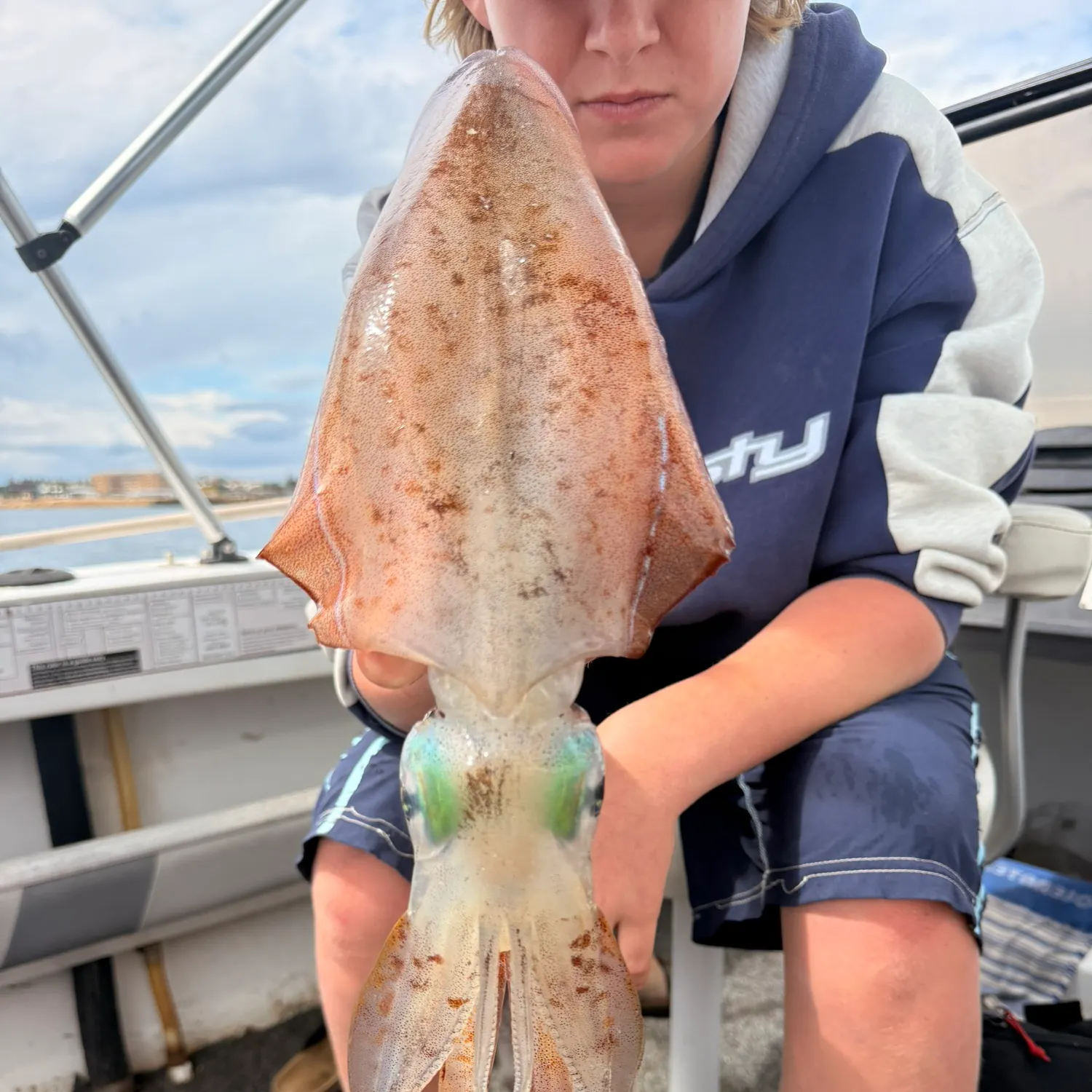 Southern calamari caught on Fishbrain