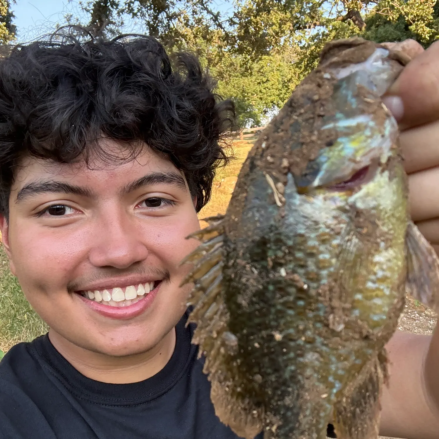 Greengill hybrid caught on Fishbrain