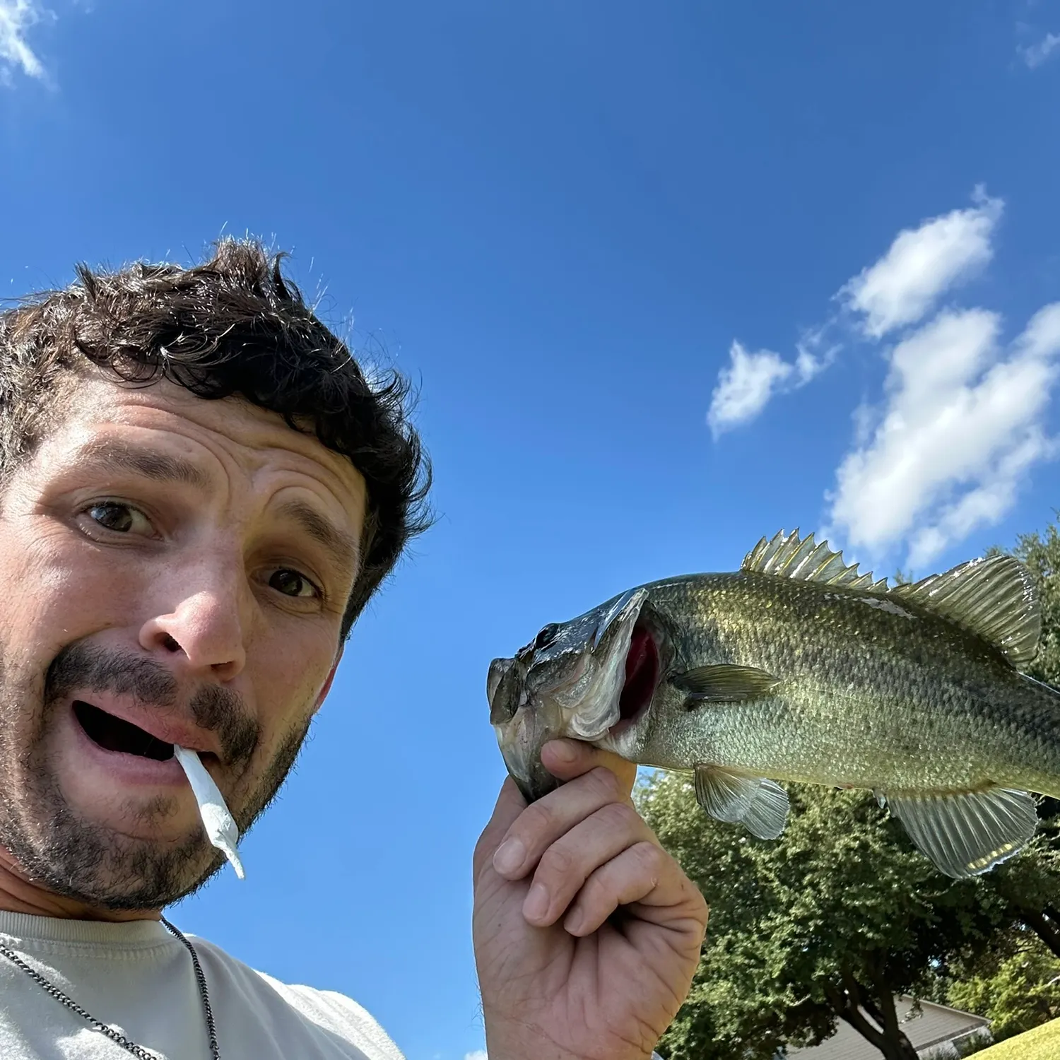 Largemouth bass caught on Fishbrain