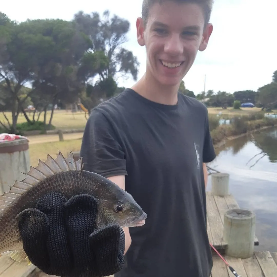 Post image from oddmanhd