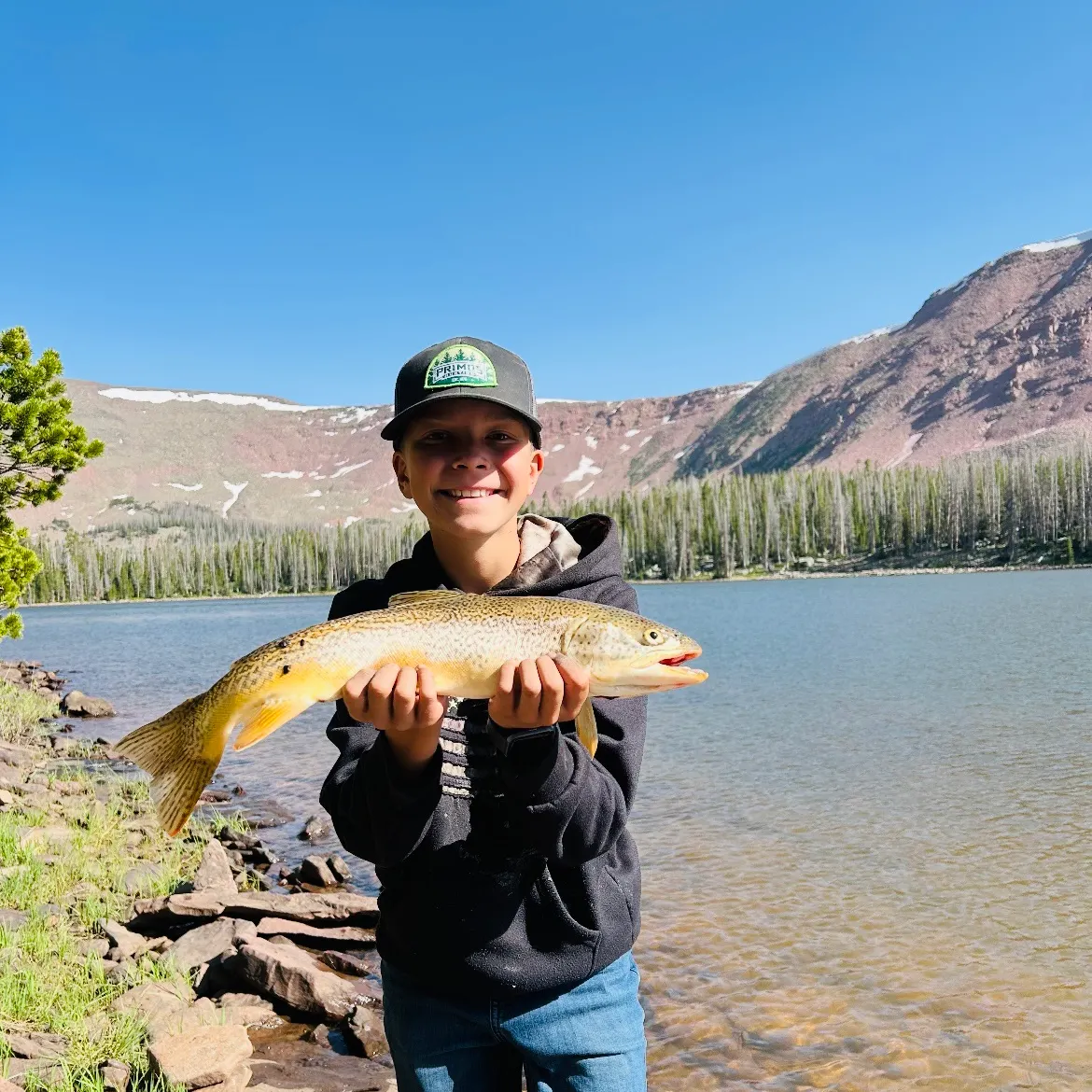 The most recent Tiger trout catches on Fishbrain
