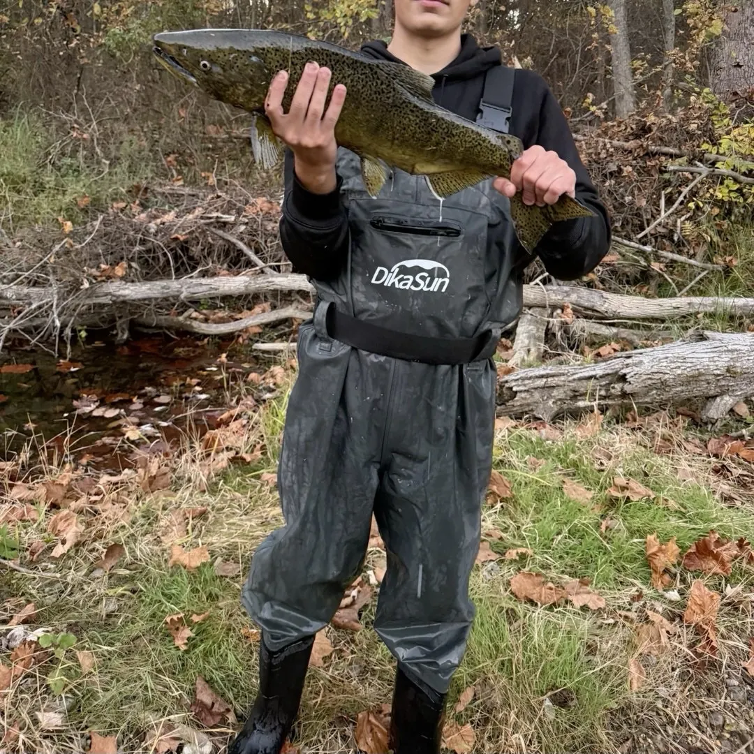 Chinook salmon caught on Fishbrain