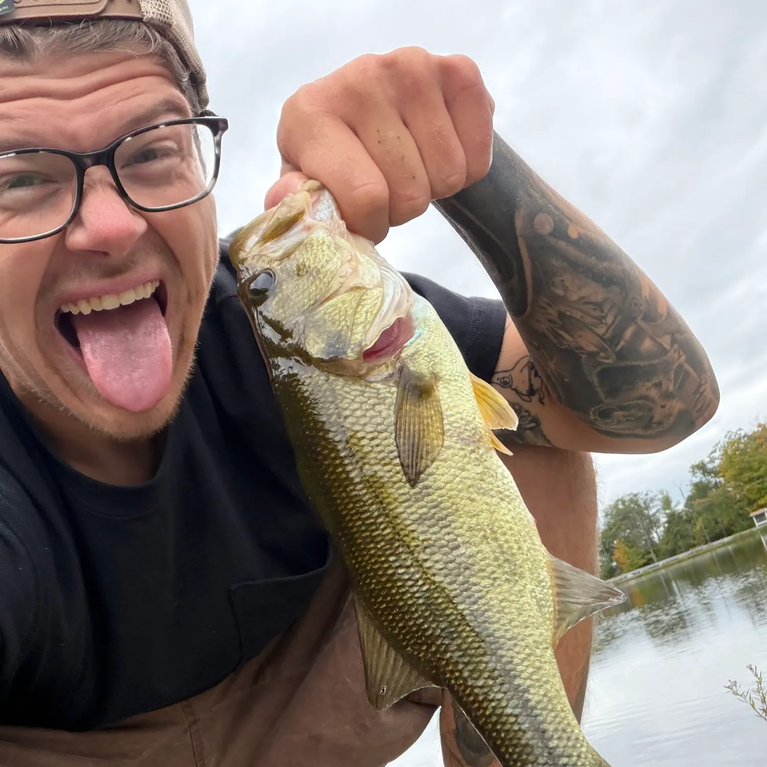 Largemouth bass caught on Fishbrain