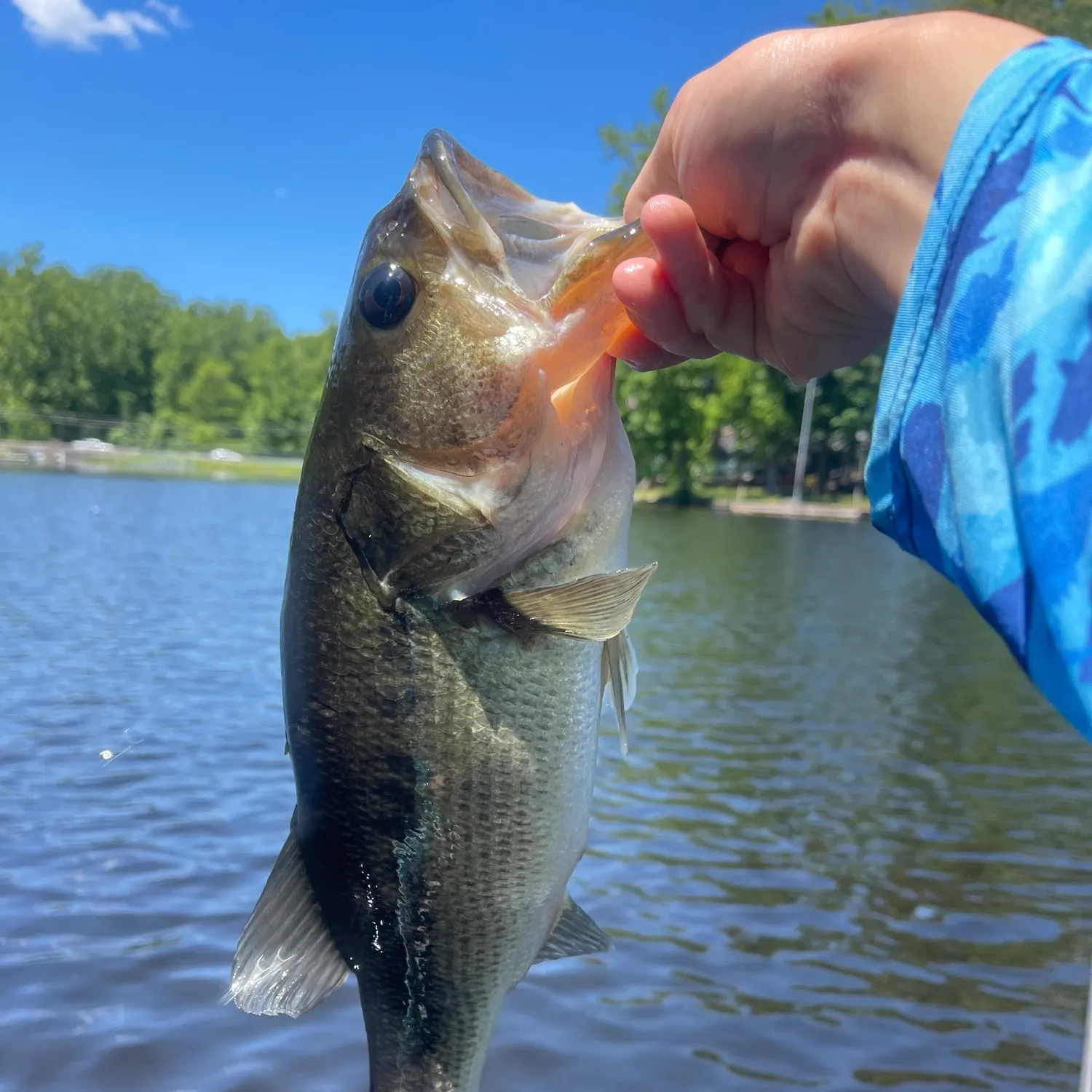 angler catch