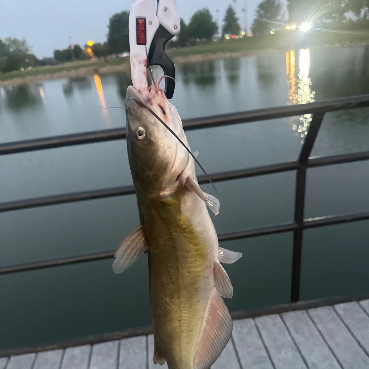 catch