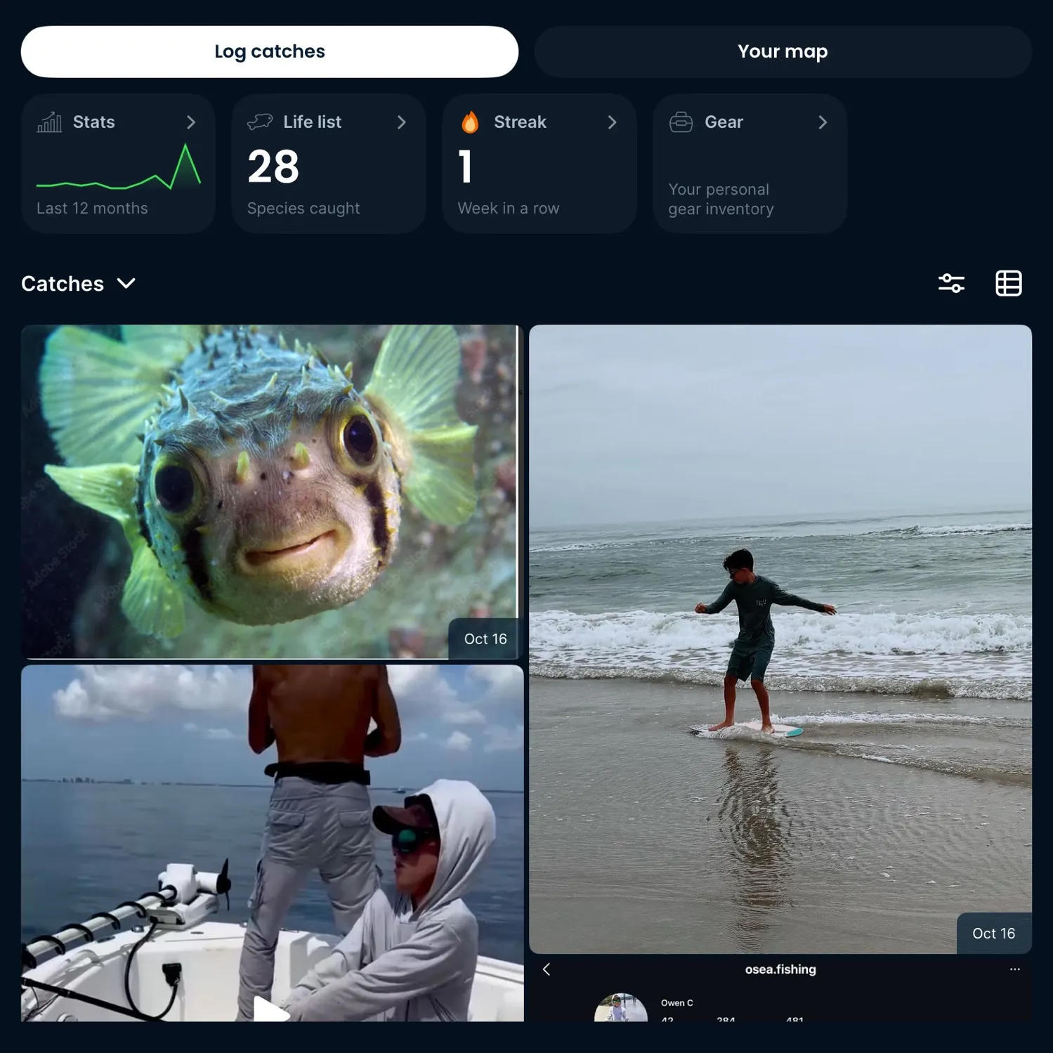 Goldfish caught on Fishbrain