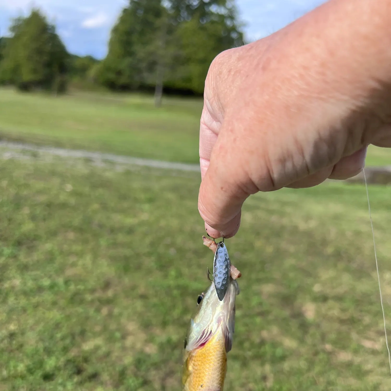 Fish caught on Fishbrain